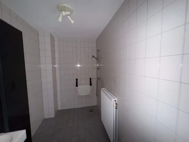 Kamelenspoor 8316 - Maarssen