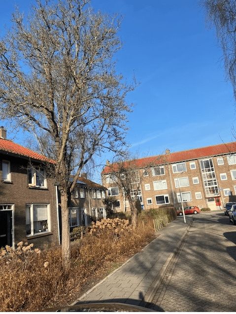 Dr. Boekenoogenstraat 16 - Krommenie