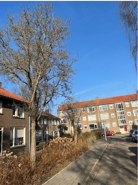 Dr. Boekenoogenstraat 16 - Krommenie