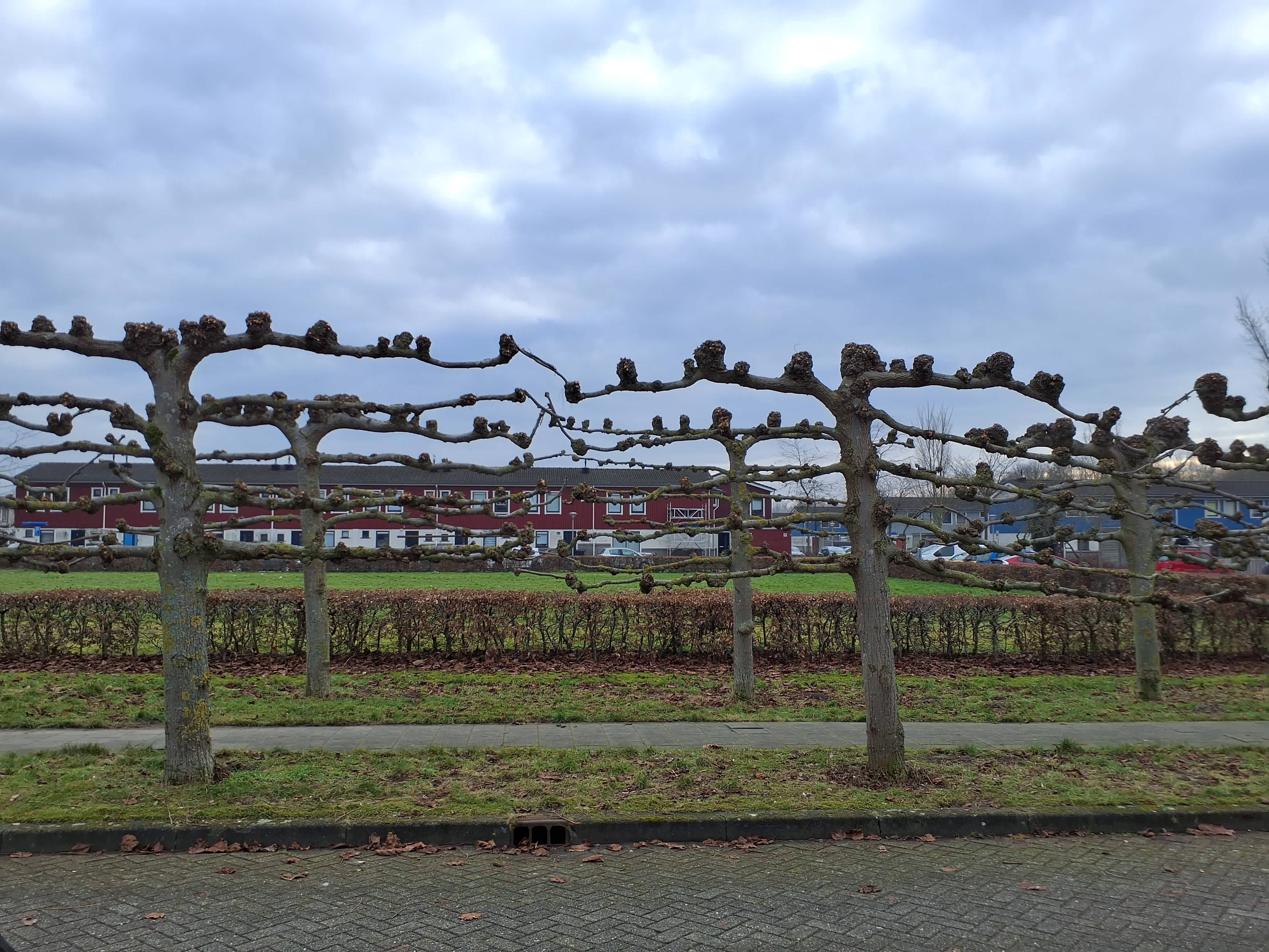 Henrick de Keyserplantsoen 68 - Almere