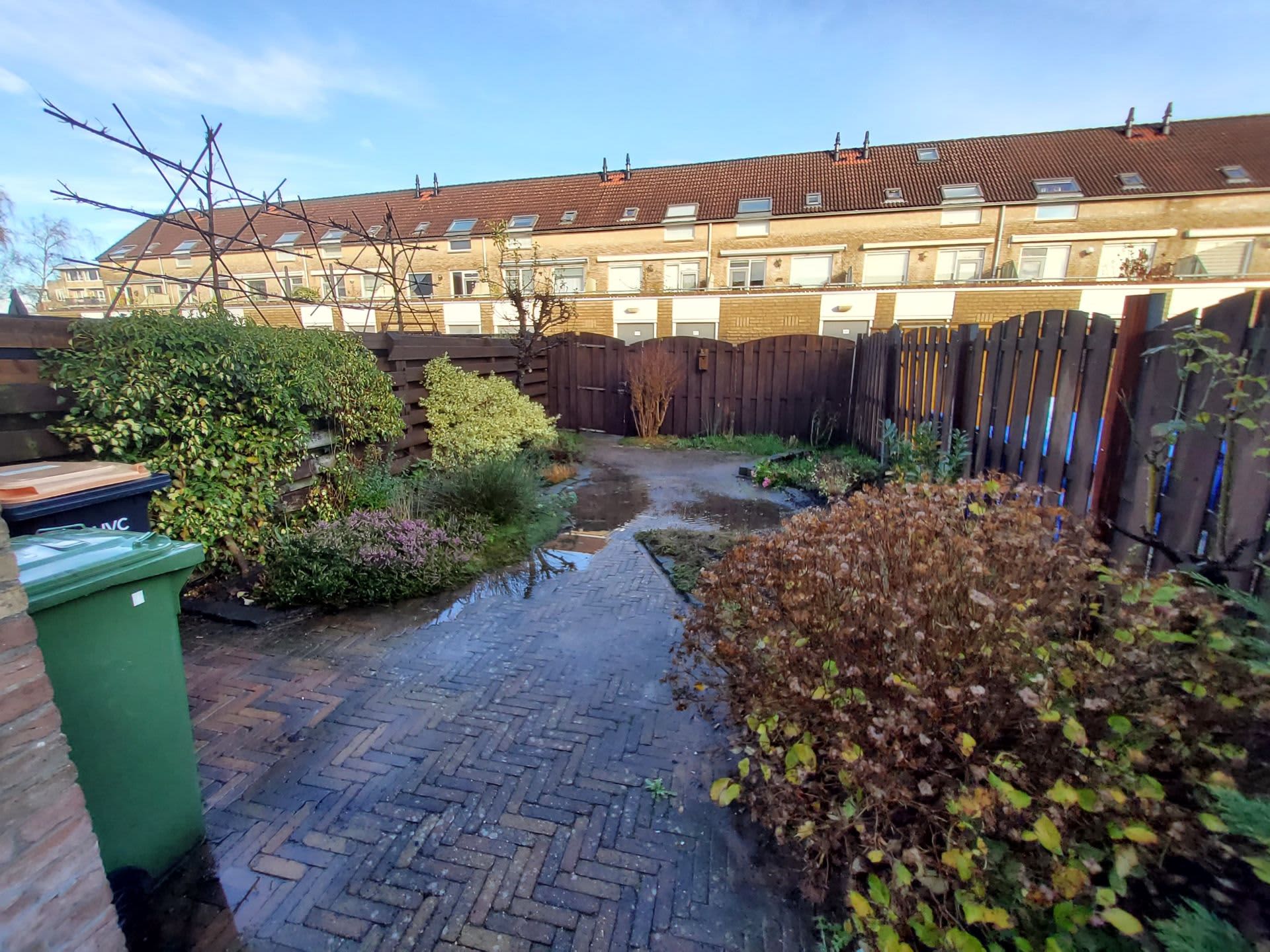 Groot Hoefblad 8 - Velserbroek