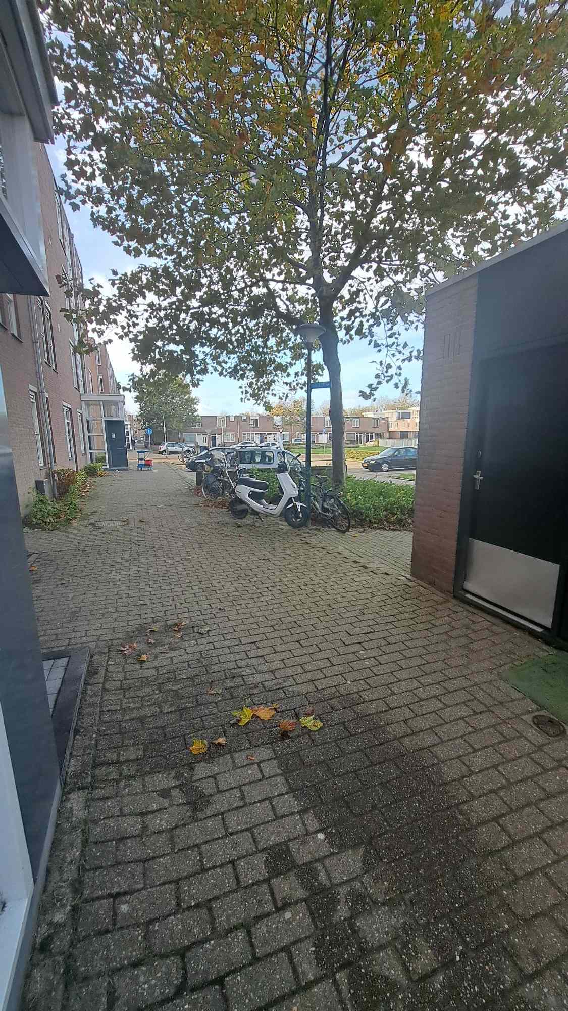 Kimwierde 363 - Almere