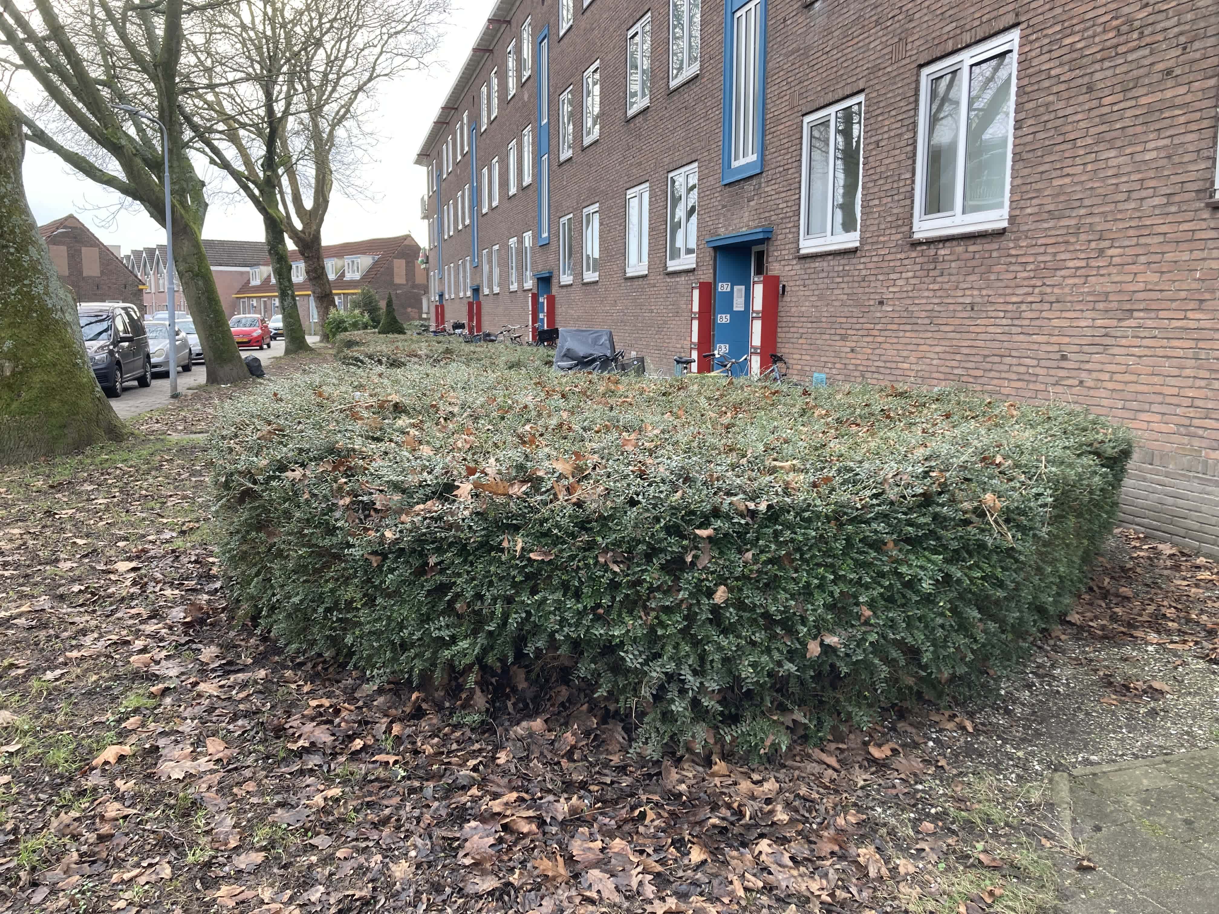 Kruisstraat 105 - Koog aan de Zaan