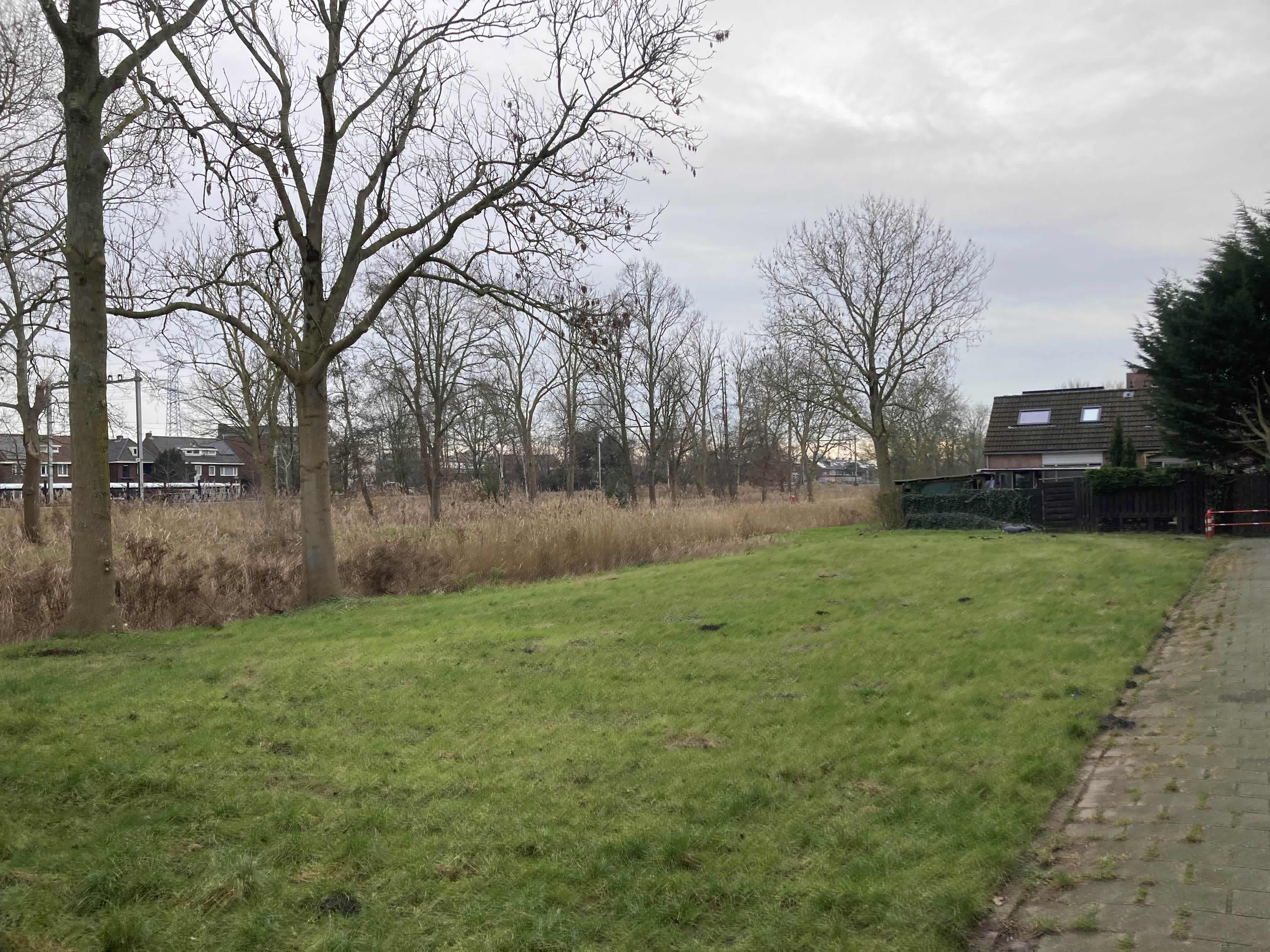 De Locomotief 168 - Koog aan de Zaan