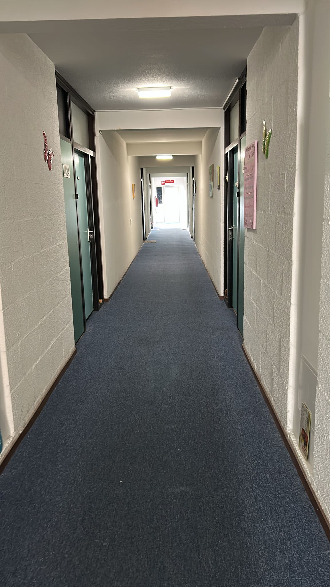 Bolestein 446A - Amsterdam