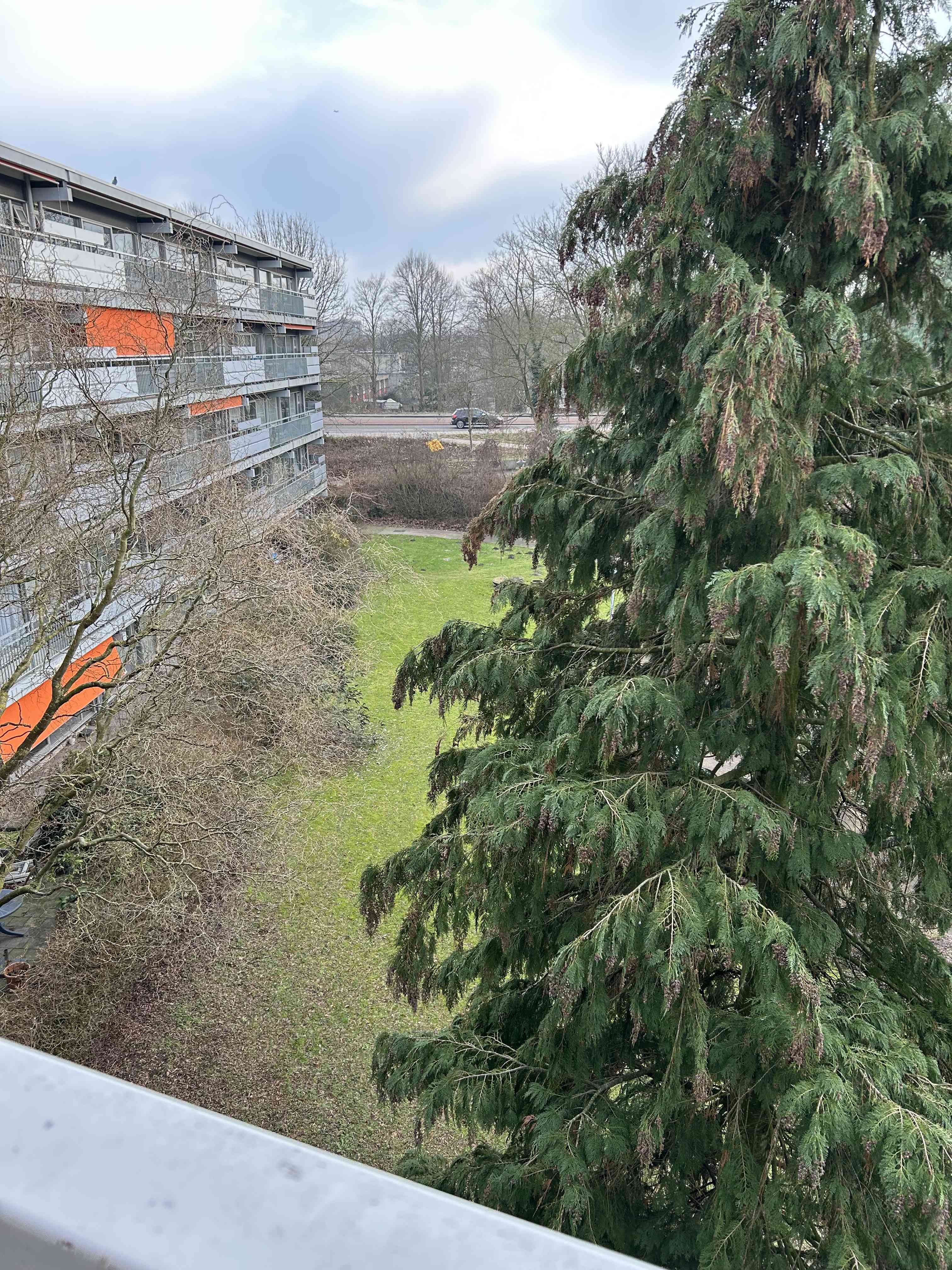 Kortvoort 417 - Amsterdam