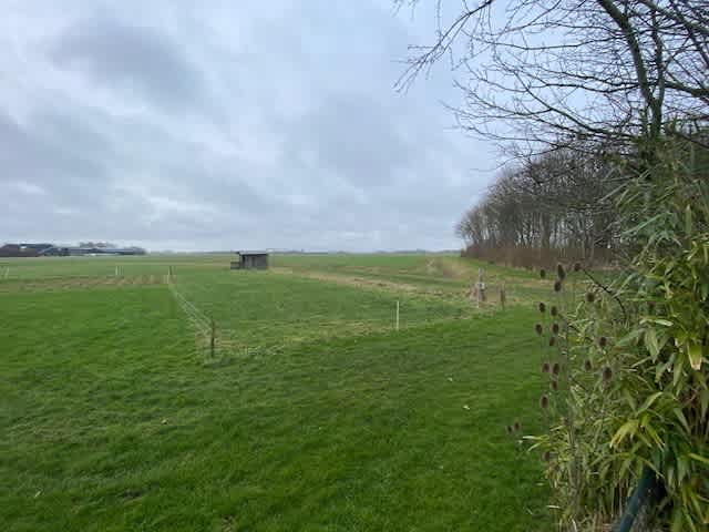 Burgemeester IJ. Wiersumstraat 5 - Warfhuizen