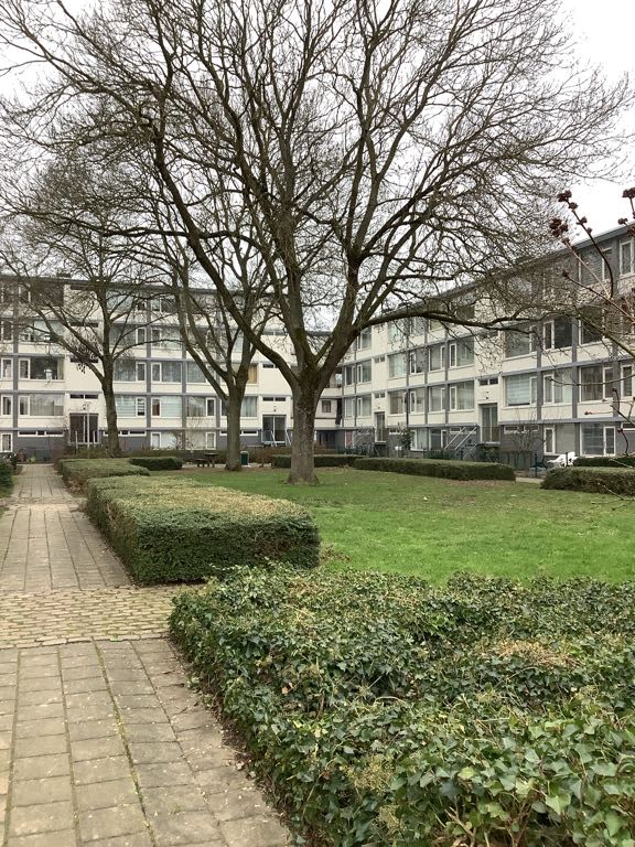 Bosch 51 - Zwijndrecht