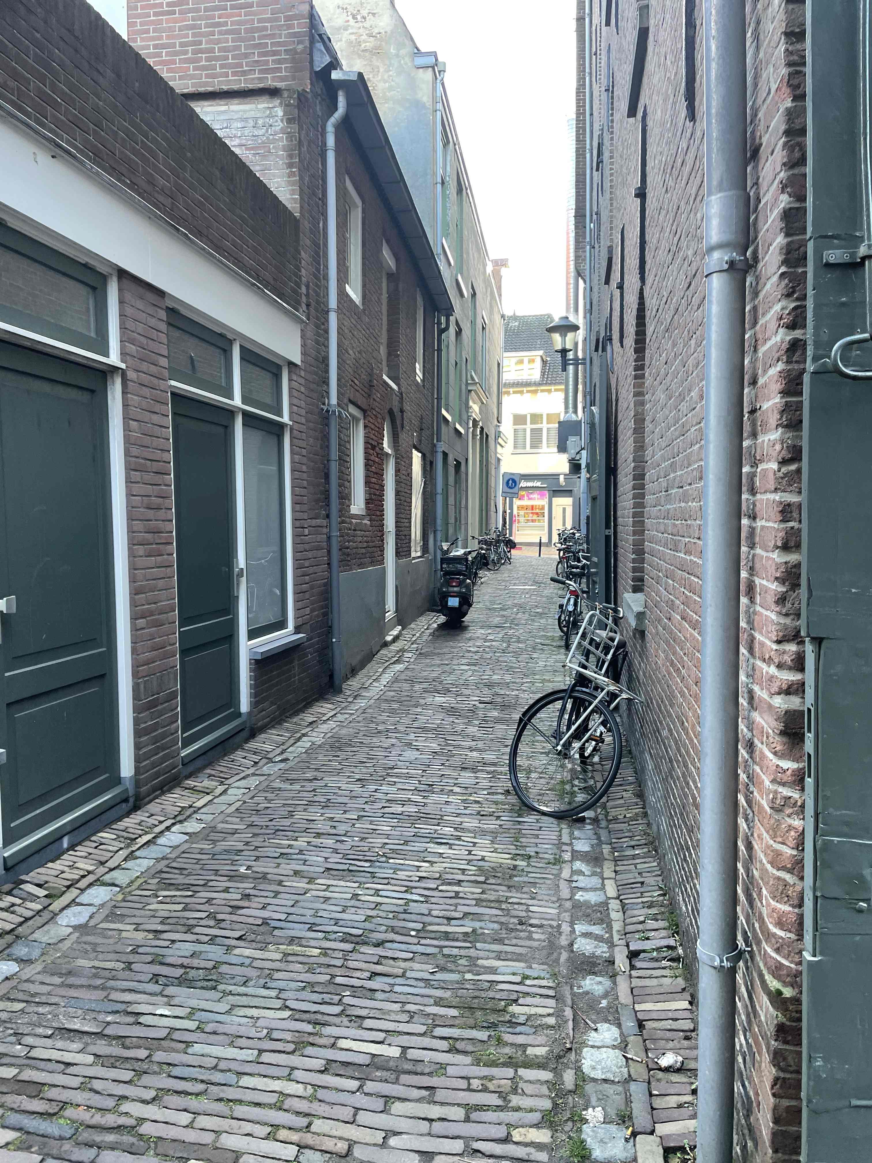 Eendvogelsteeg 21 - Gorinchem