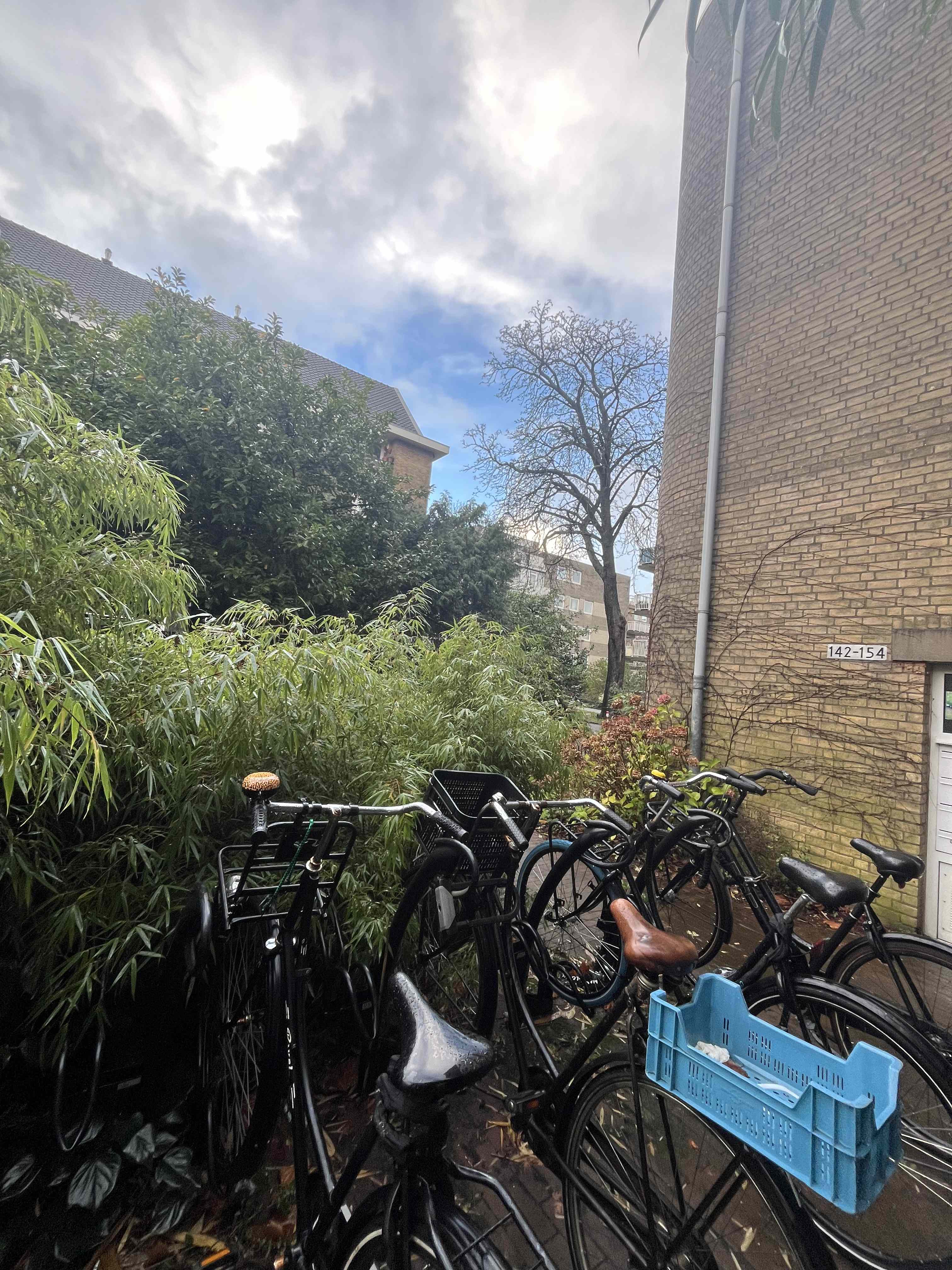 Jeltje de Bosch Kemperpad 160 - Amsterdam