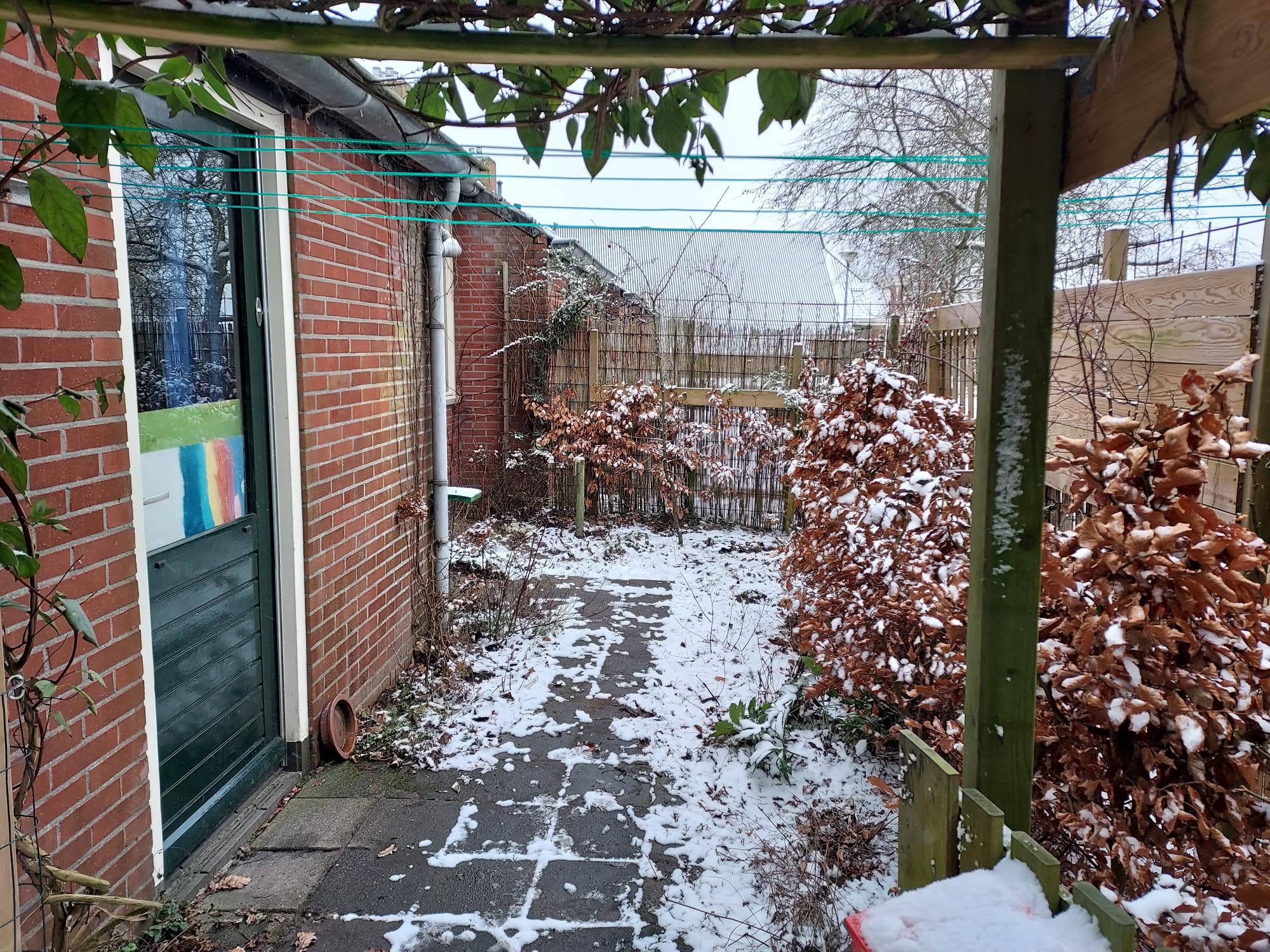 Weerhorn 9 - Mensingeweer