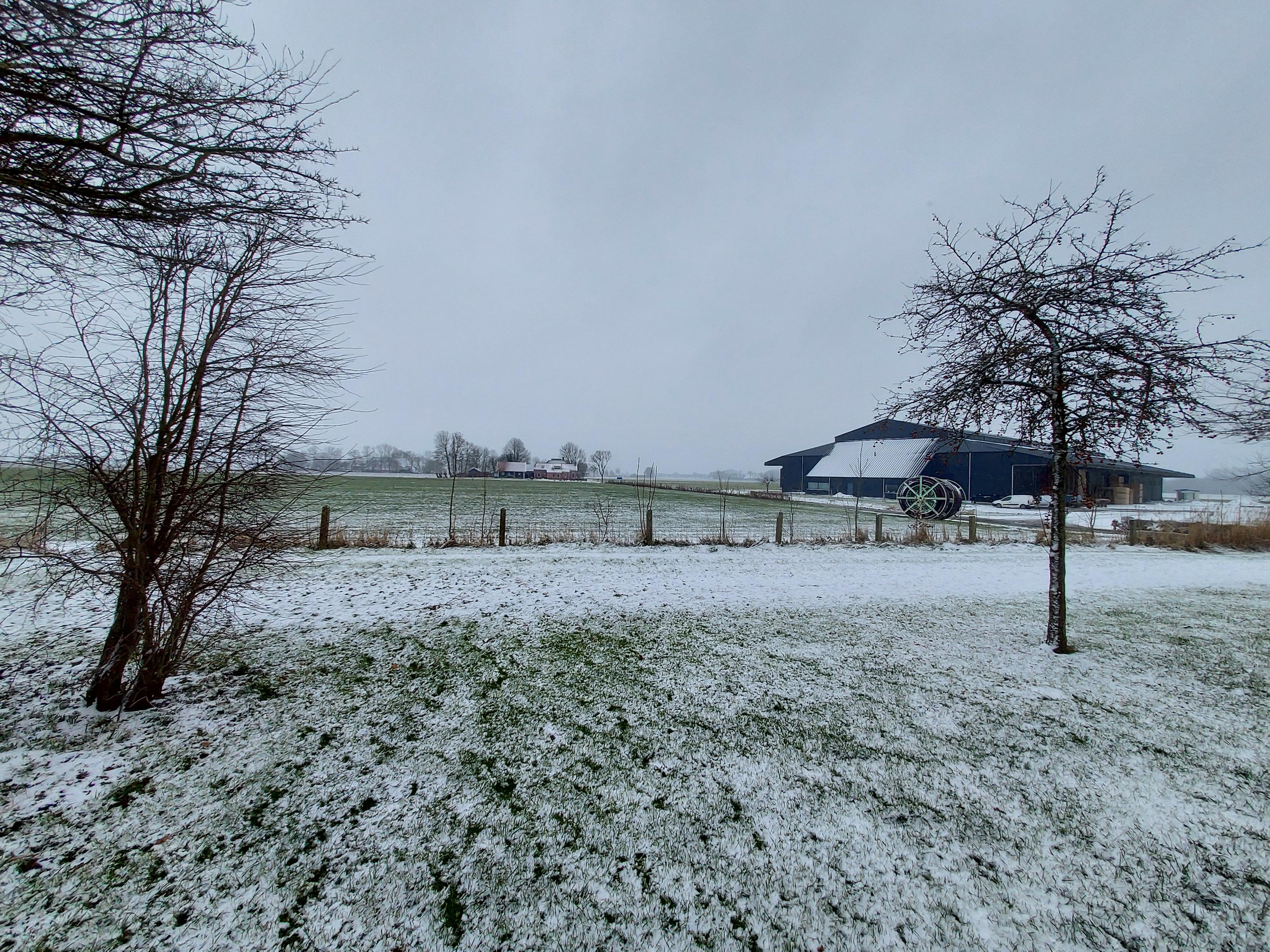 Weerhorn 9 - Mensingeweer