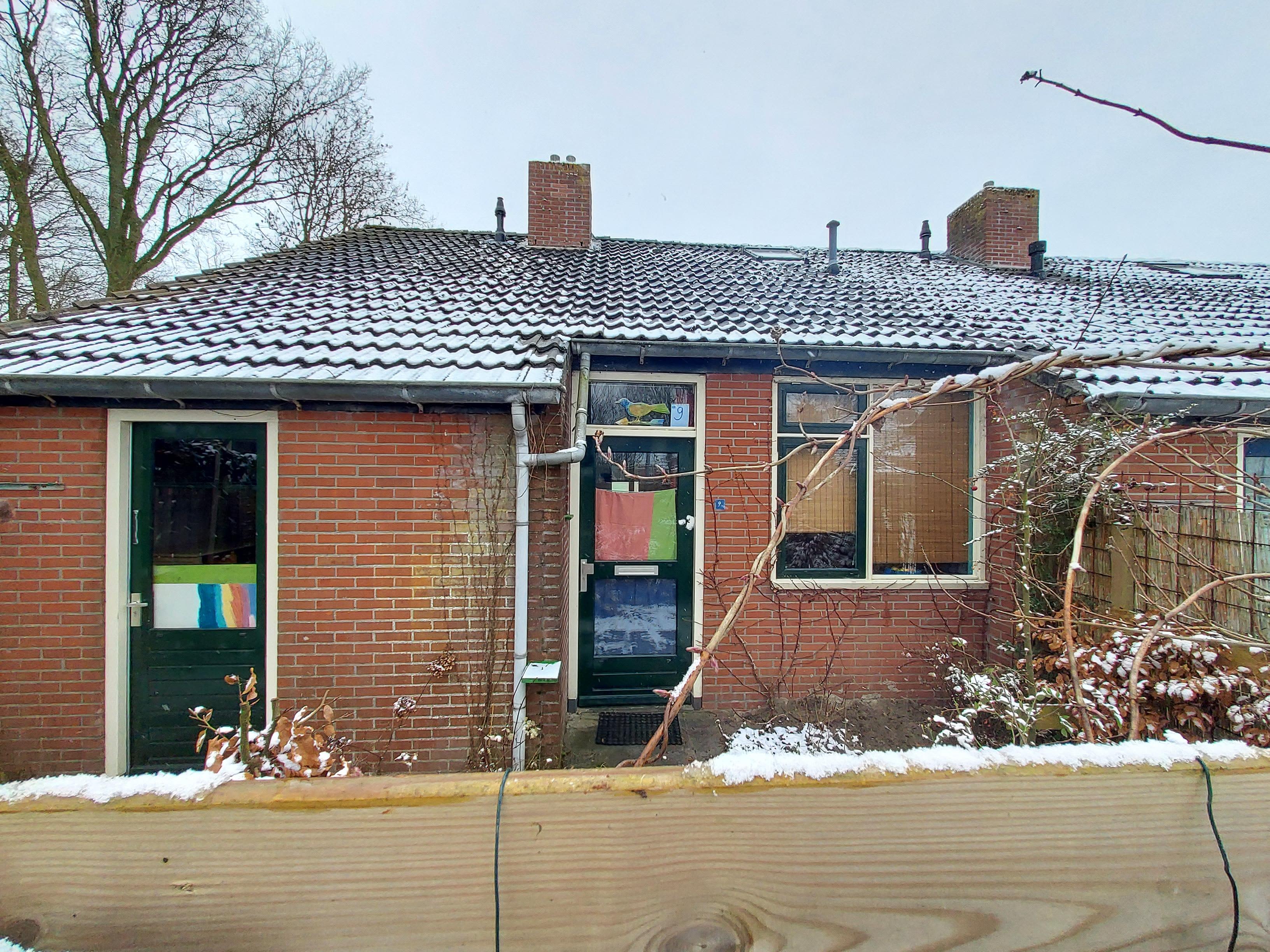 Weerhorn 9 - Mensingeweer