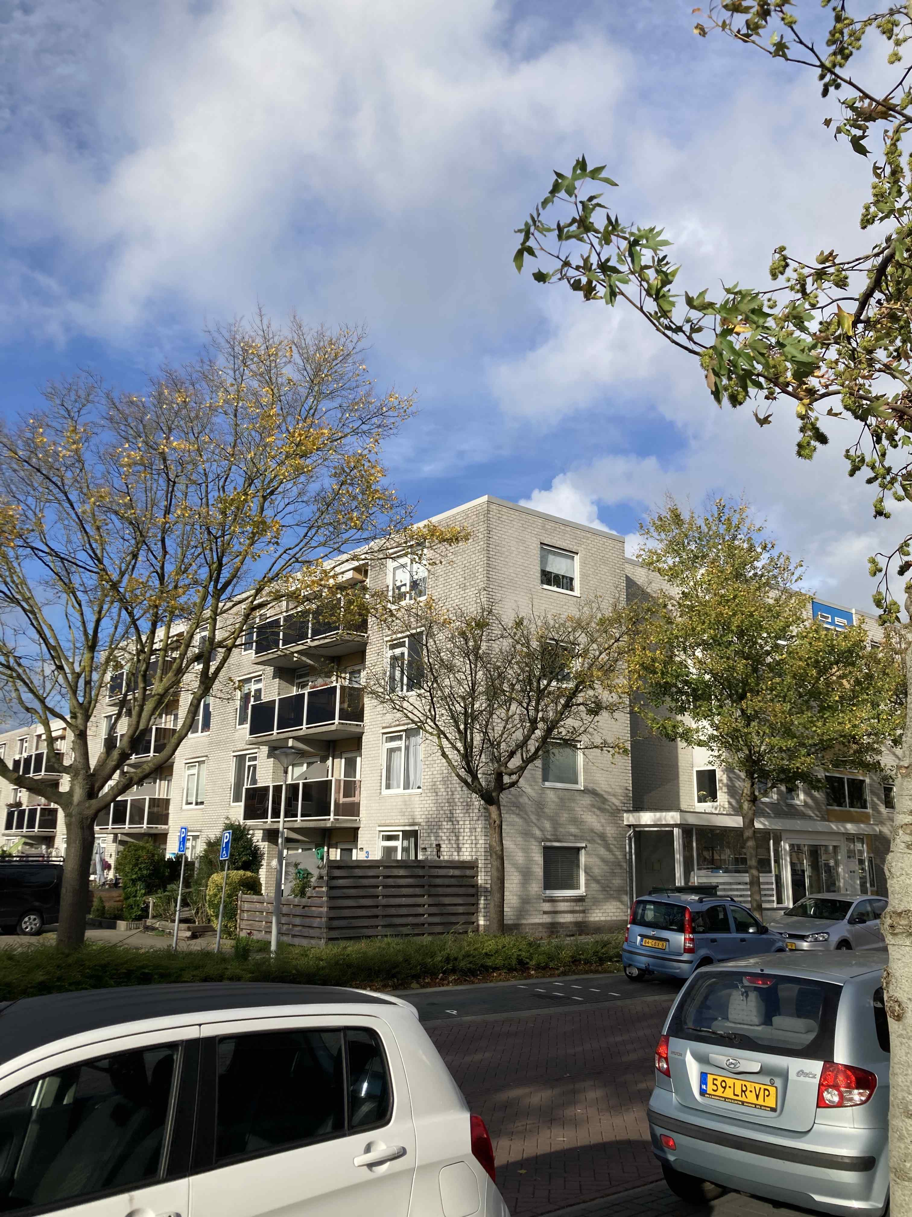 Elsbroekplantsoen 39 - Zaandam