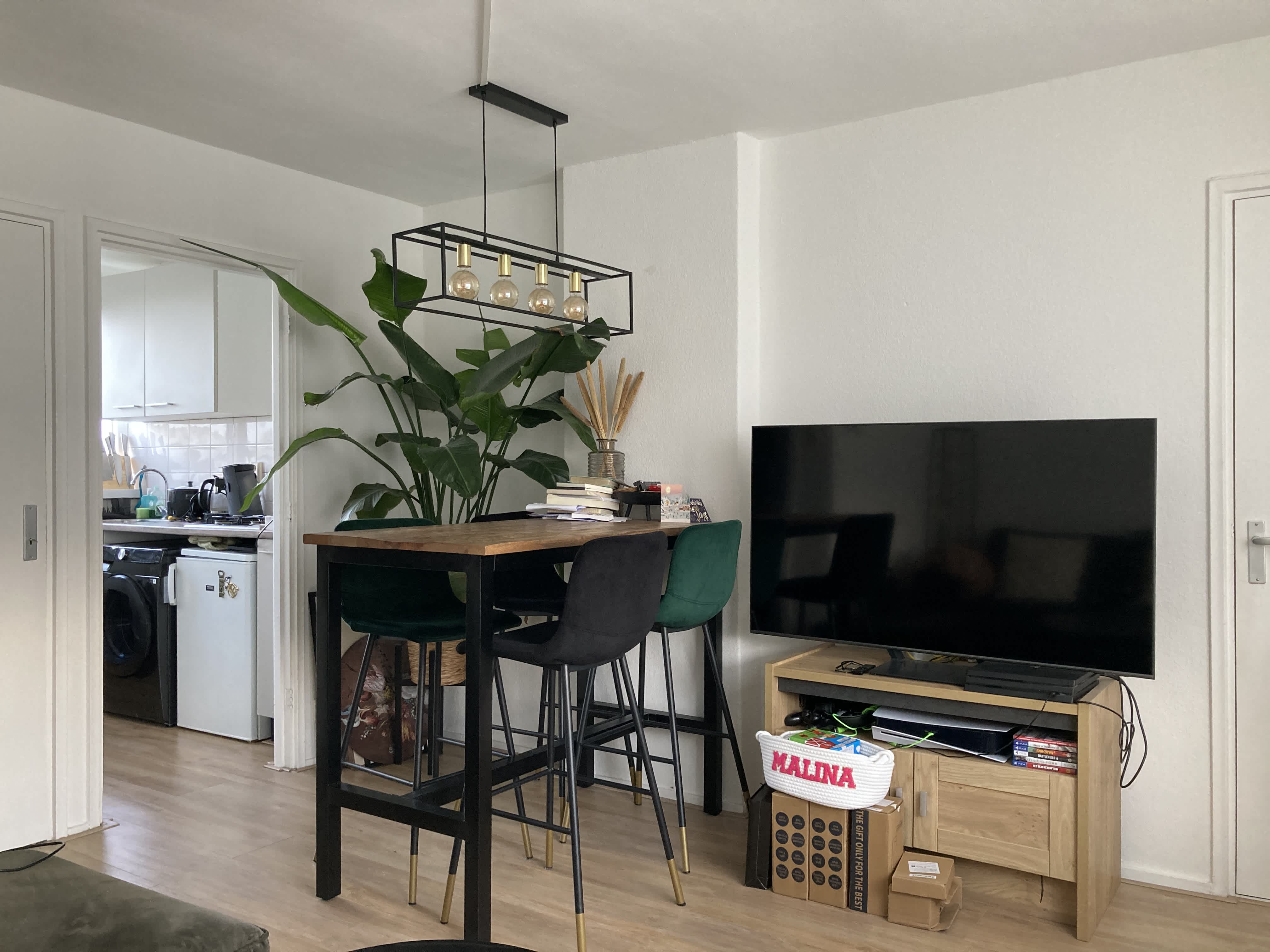 Doctor Schaepmanplantsoen 12 - Mijdrecht