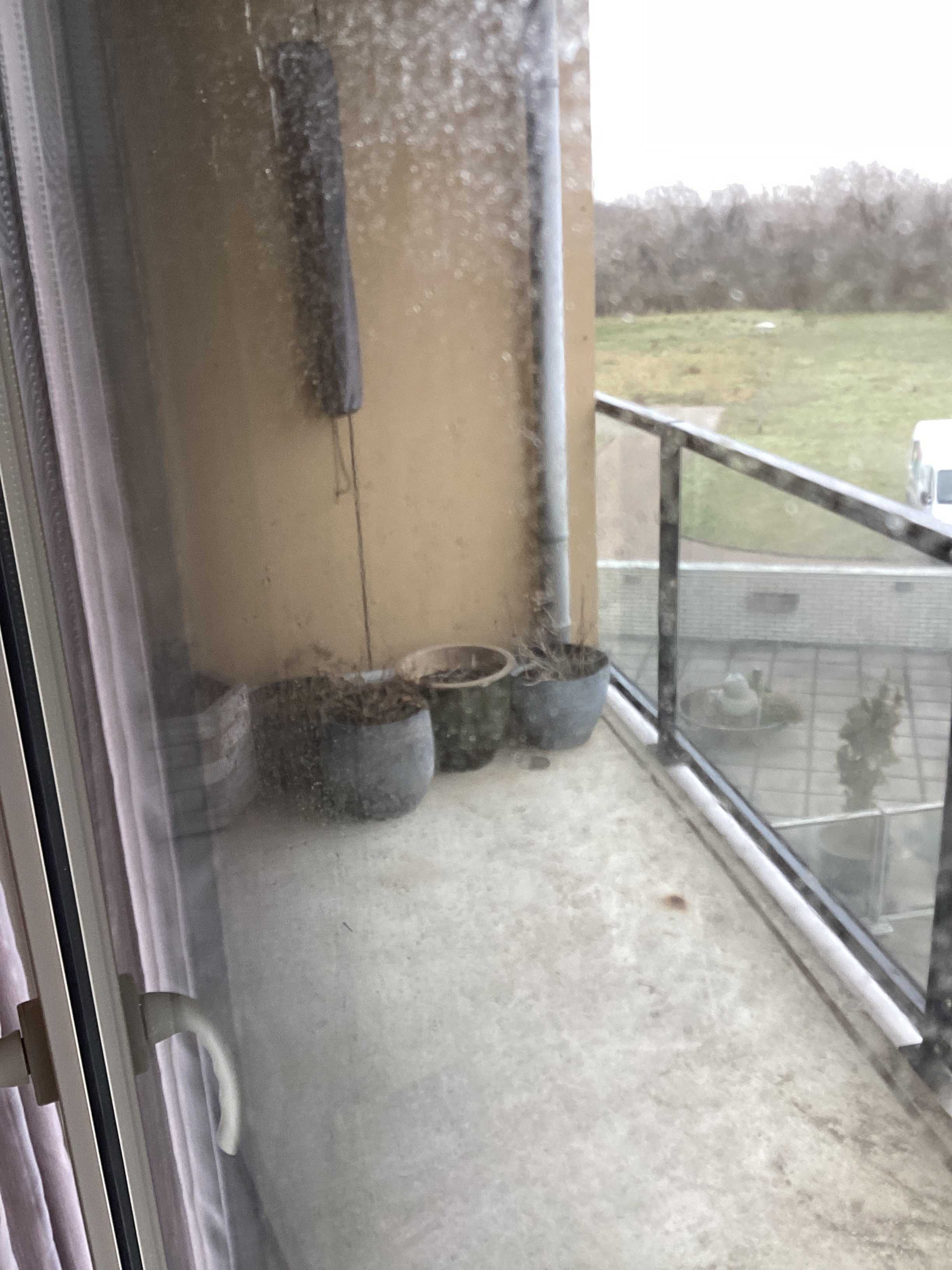 Wouwenkoplaan 58 - IJmuiden