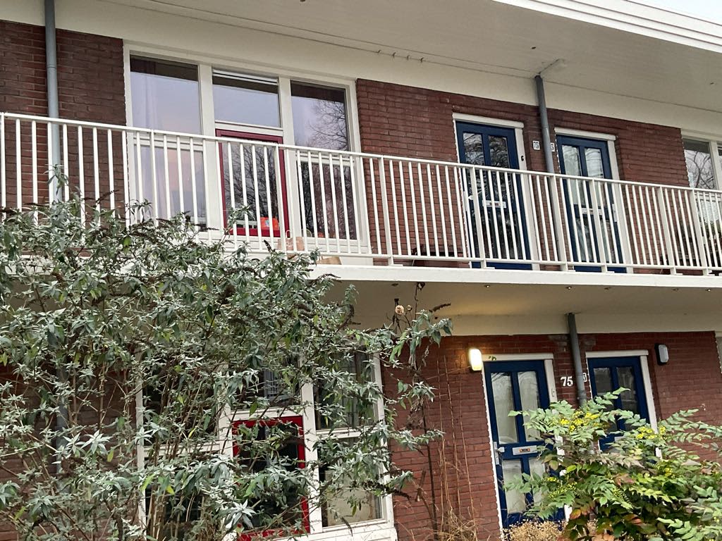 Lodewijk Napoleonplantsoen 751 - Utrecht