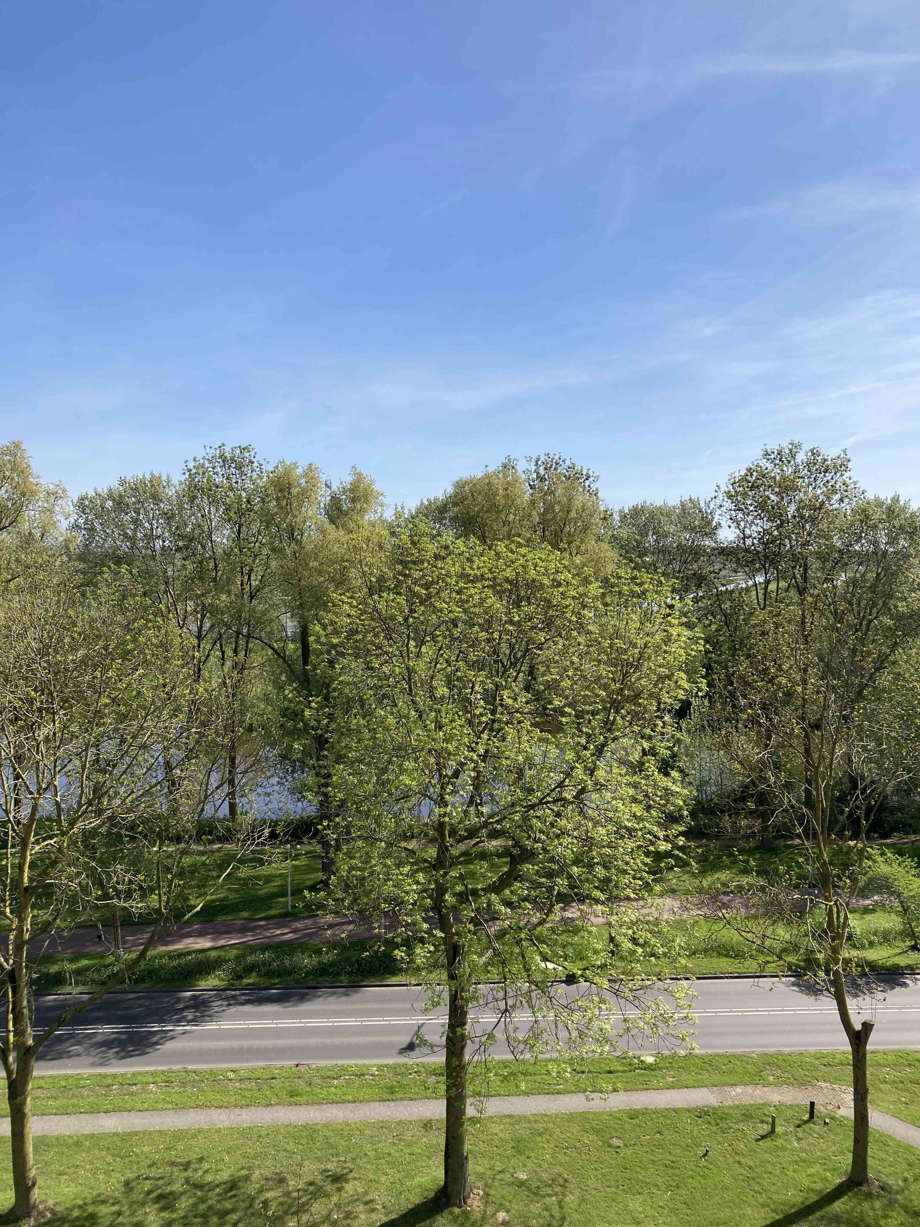 Perim 124B - Zaandam