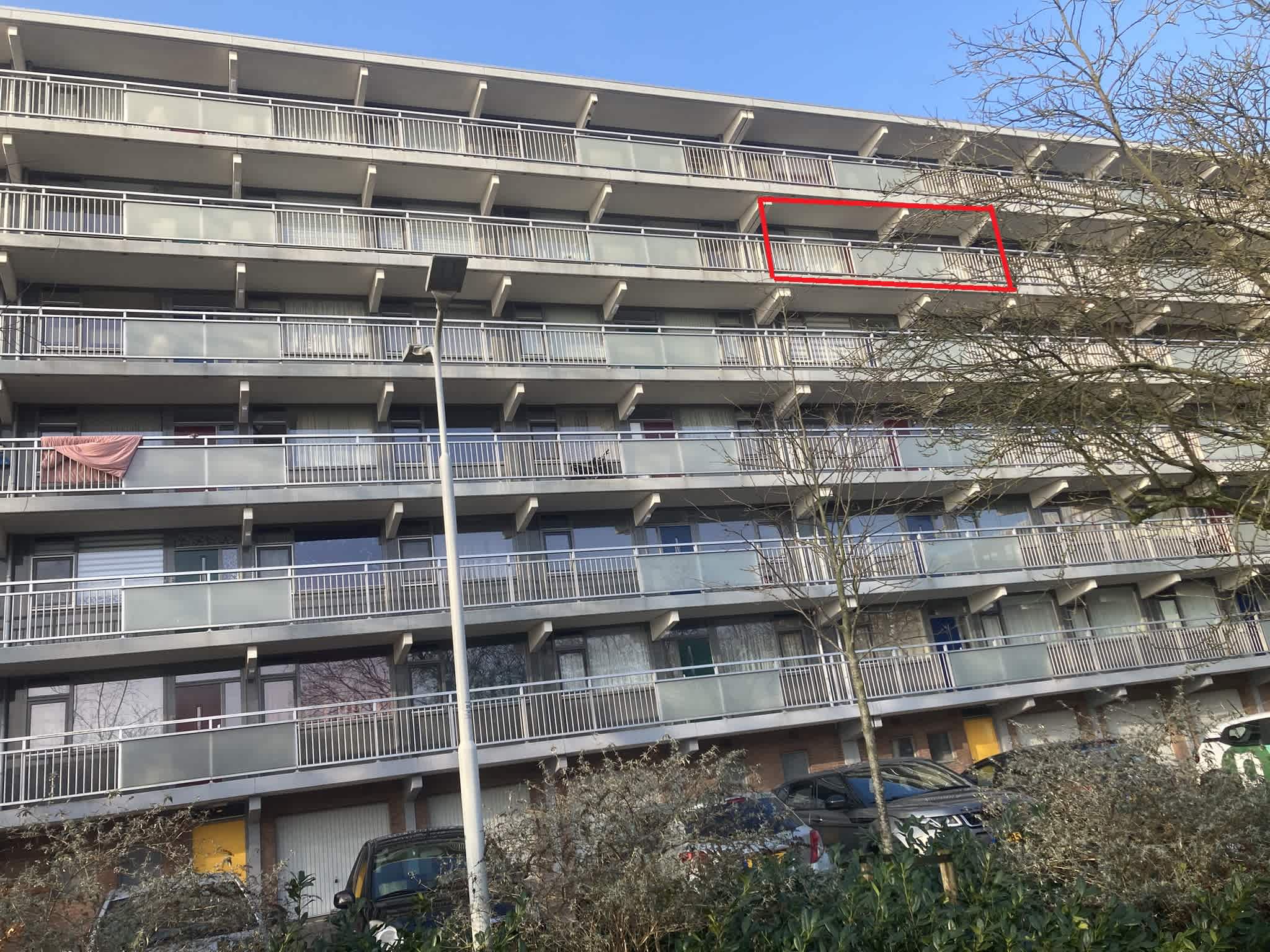 Paukenhof 133 - Zaandijk