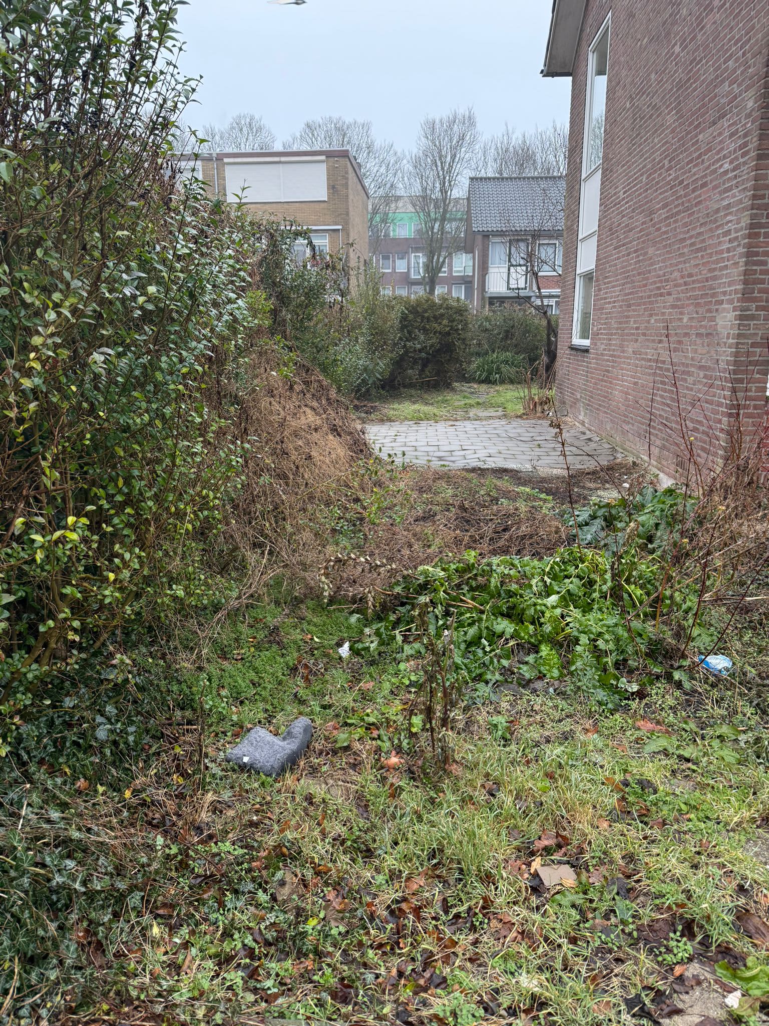 Wandelaarstraat 14 - Wormer