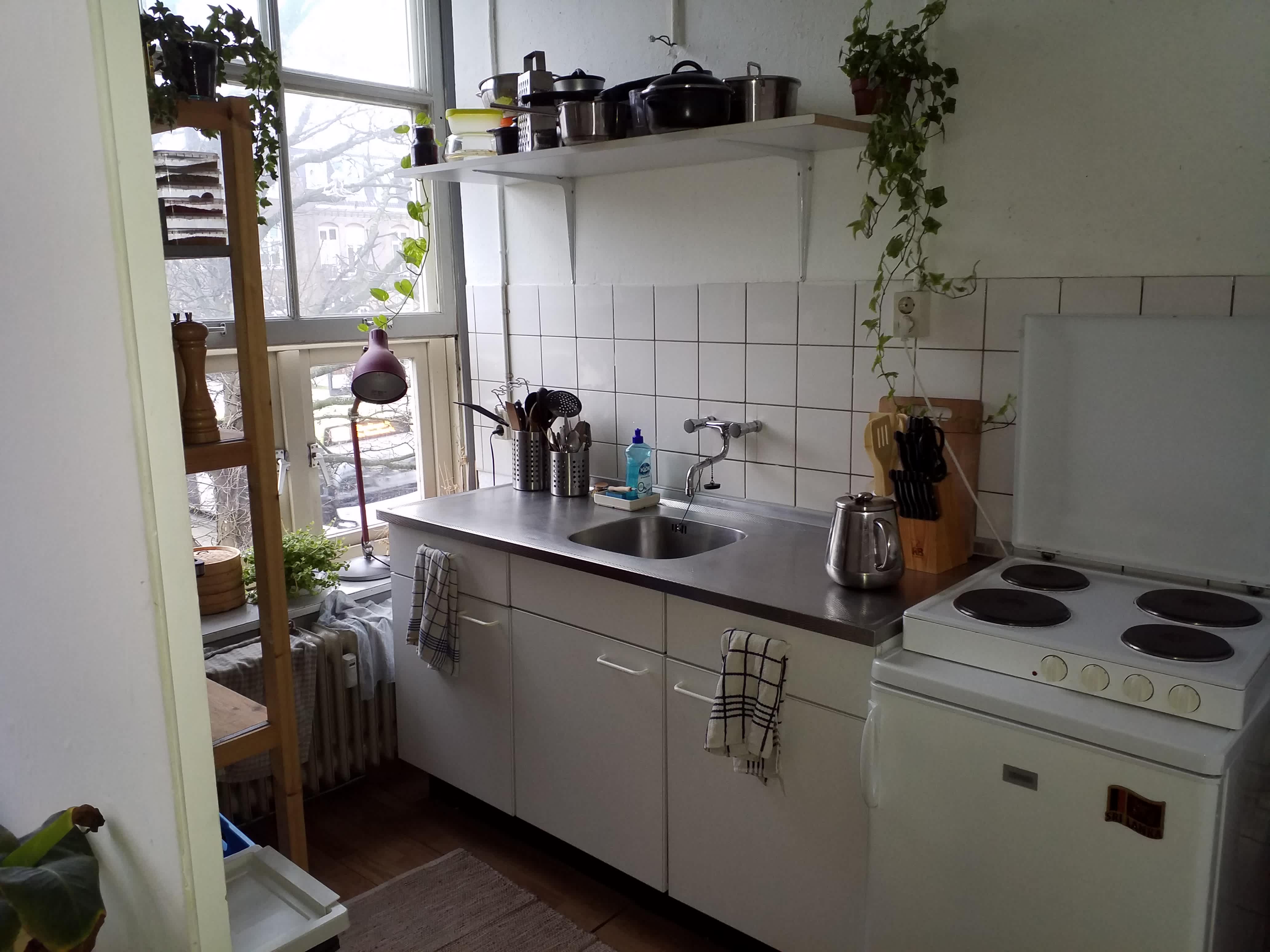 Kleine Houtweg 103-0012 - Haarlem