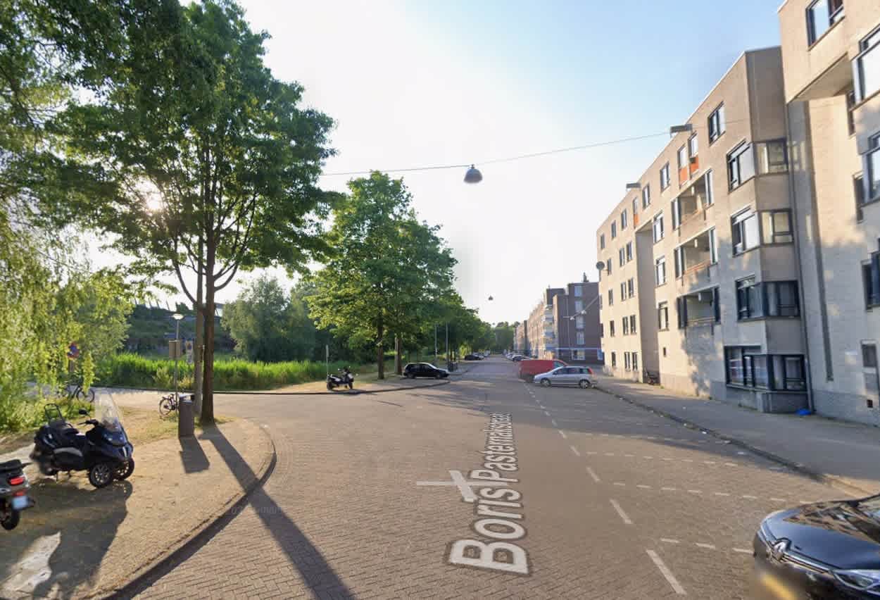 Boris Pasternakstraat 247 - Amsterdam