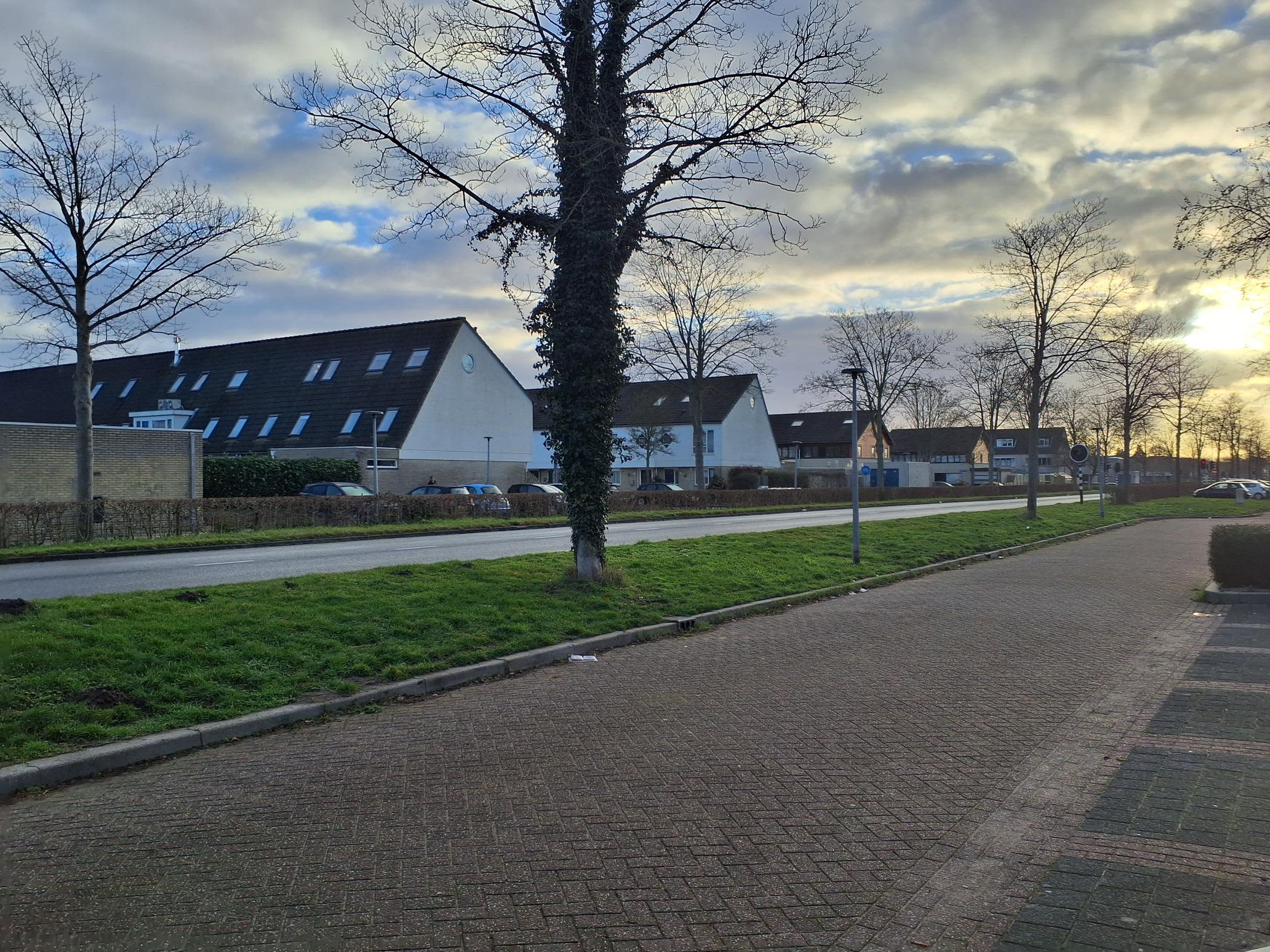 Pasolinistraat 4 - Almere