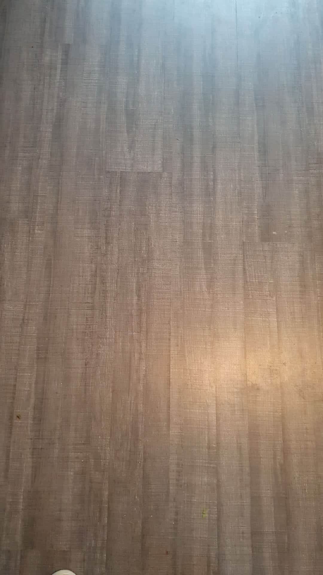 Van de Beltstraat 49 - Haarlem