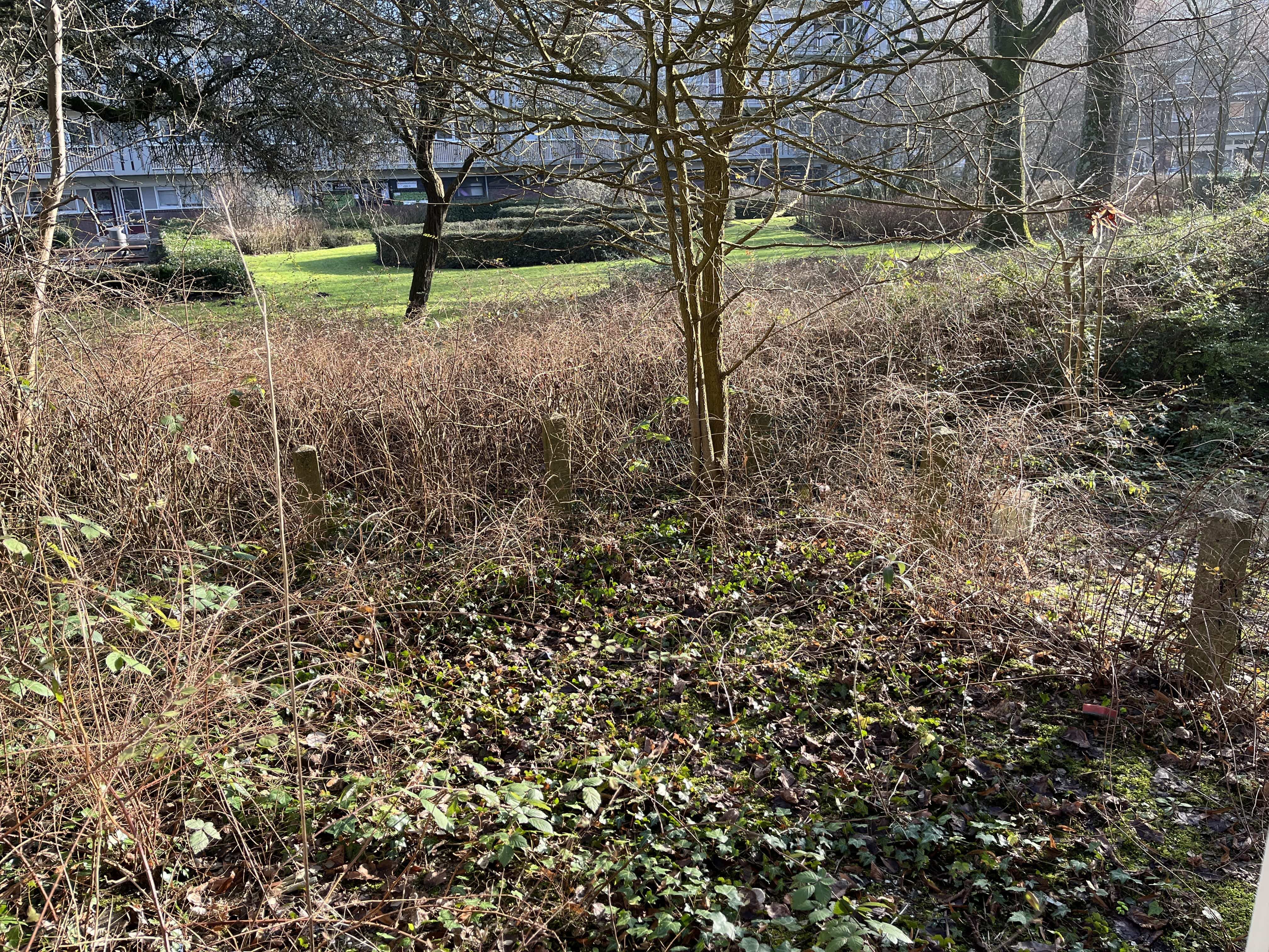 Dikninge 15 - Amsterdam