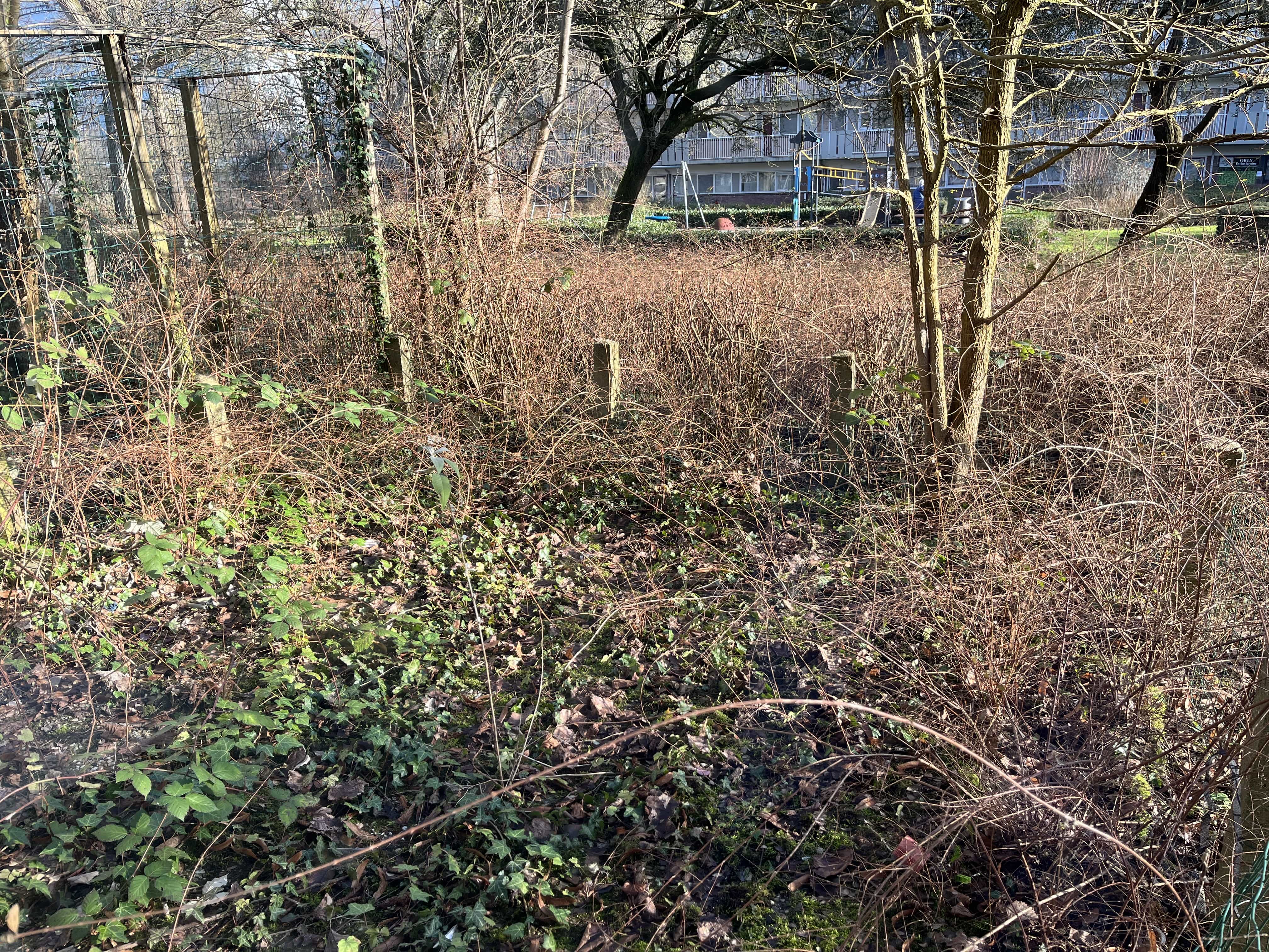 Dikninge 15 - Amsterdam