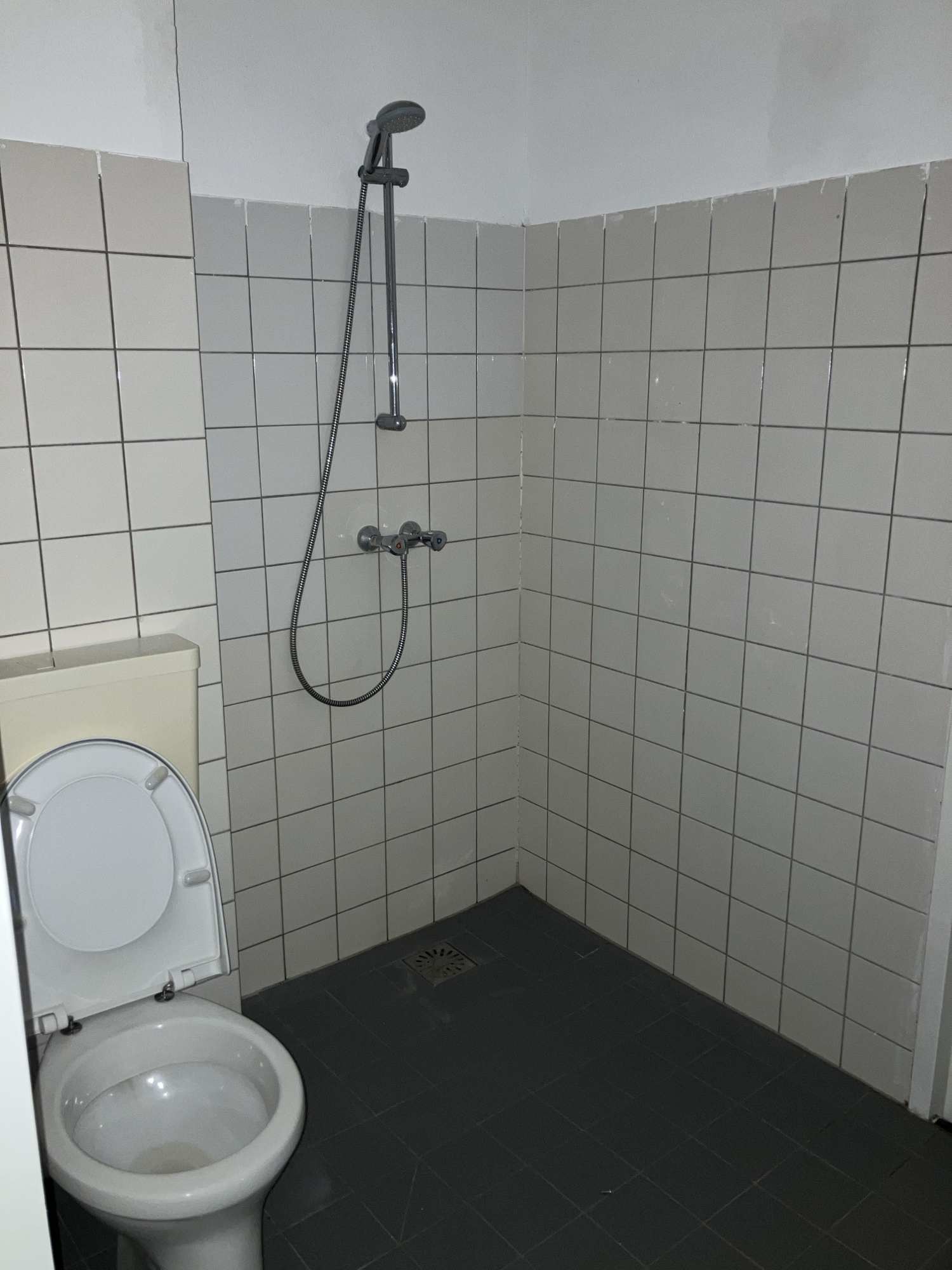 Boschsloot 21 - Zegveld