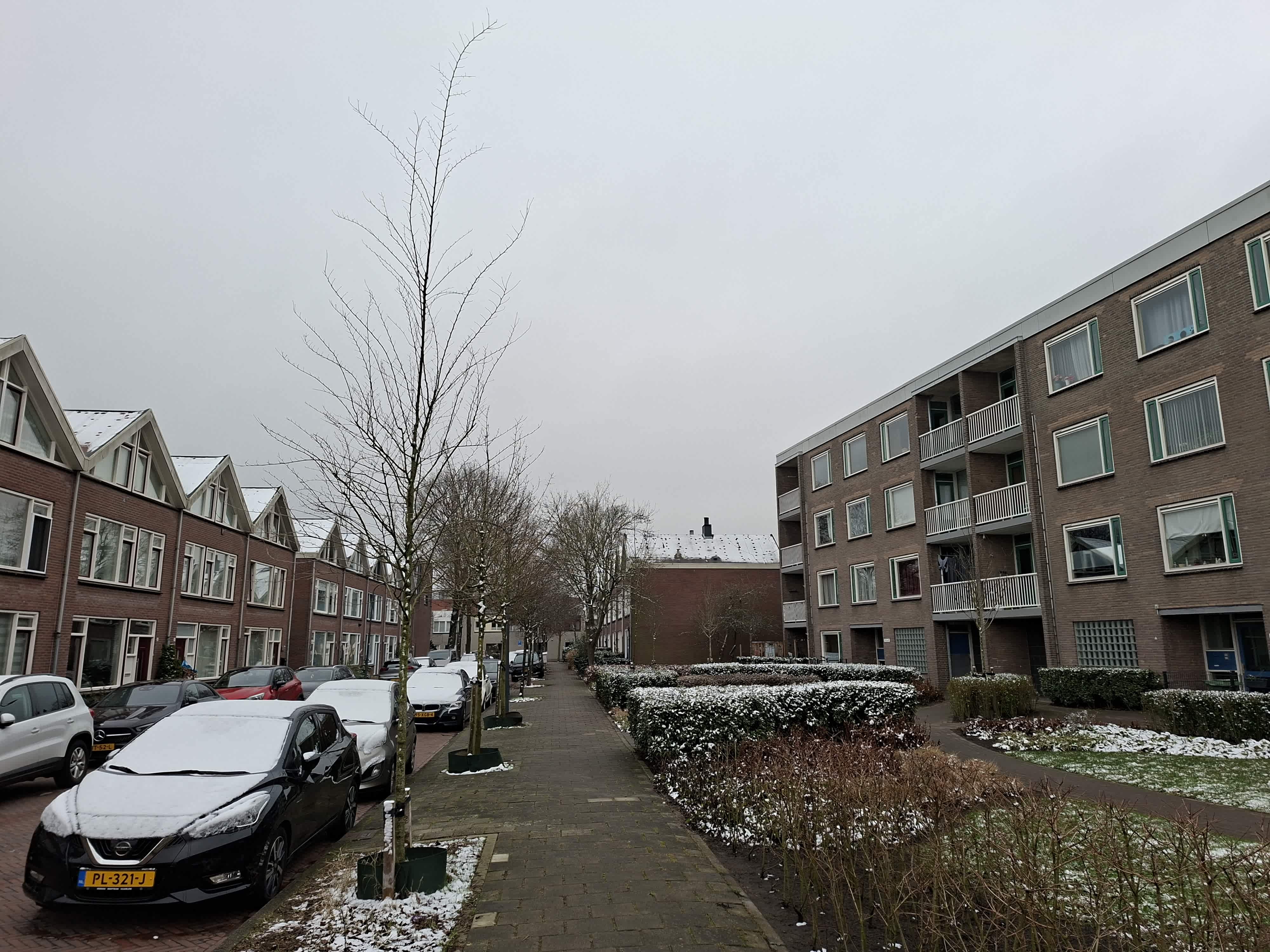 Adlerstraat 53 - Haarlem