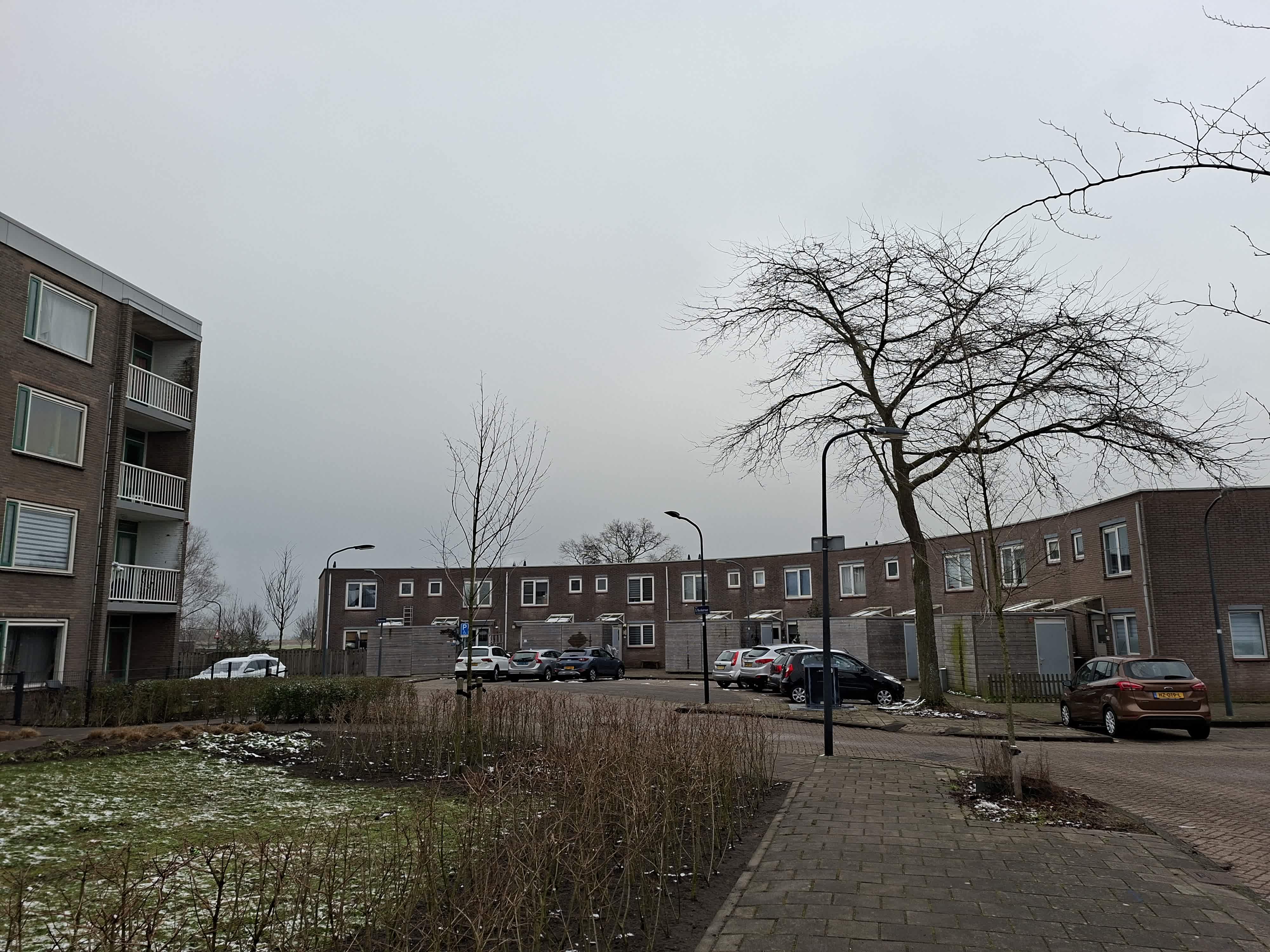 Adlerstraat 53 - Haarlem