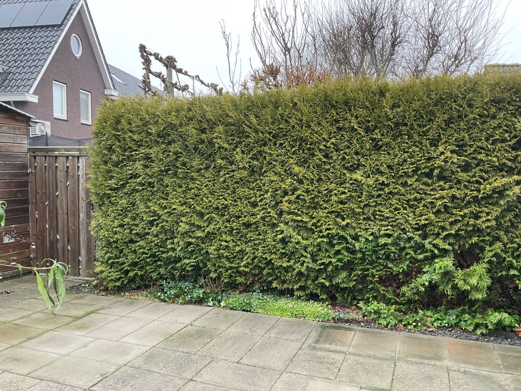 Weth vd Schansstraat 2 - Well