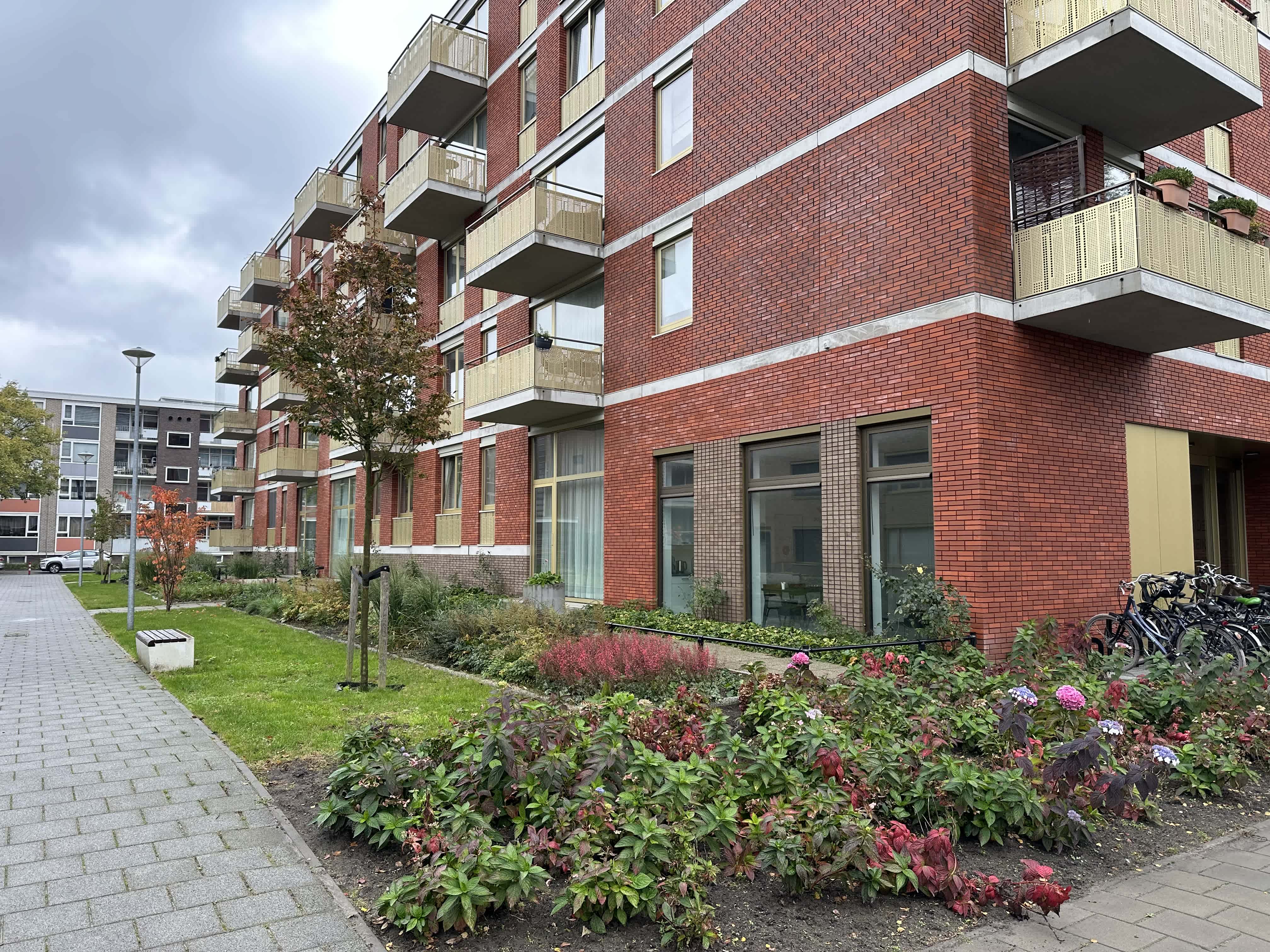 Berkenlaan 3 - Groningen