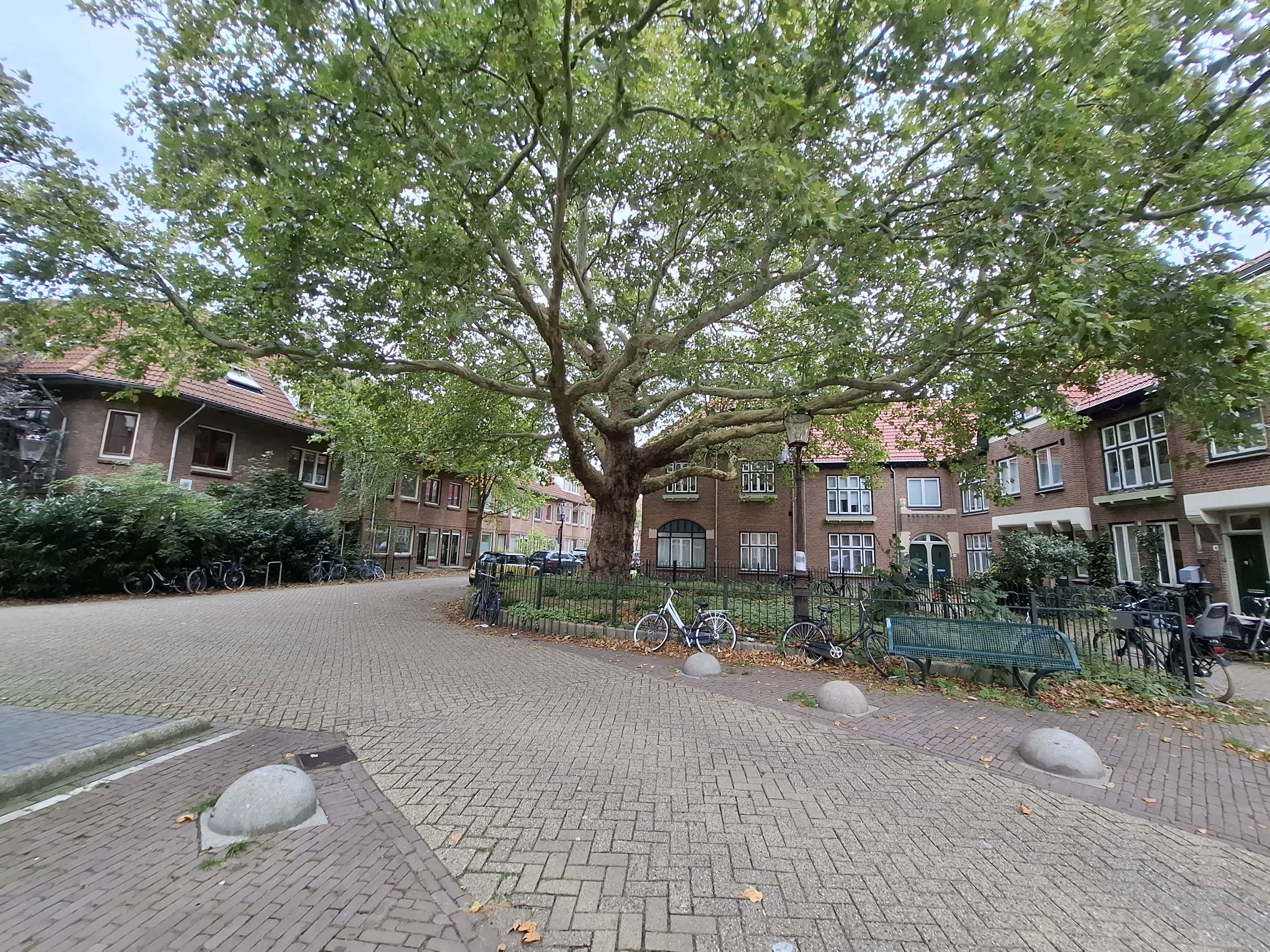 Ganzenweg 19 - Amsterdam