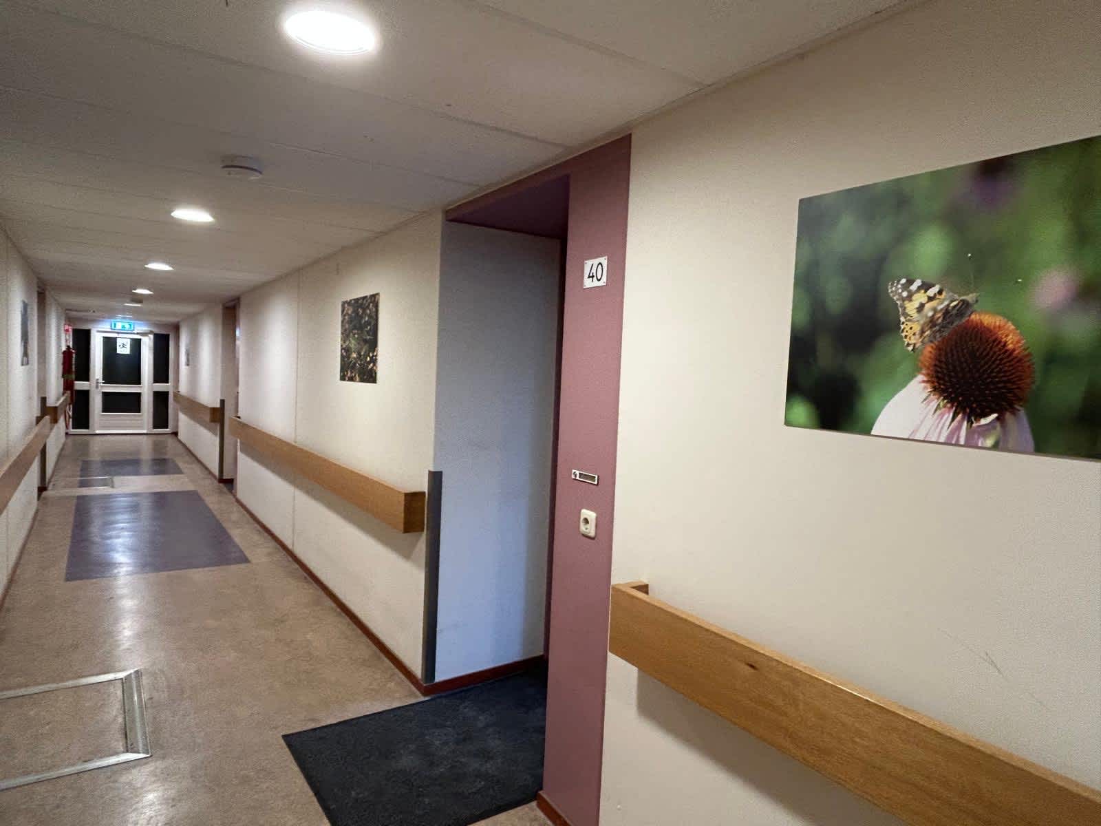 Gortershof 40 - Zaandijk