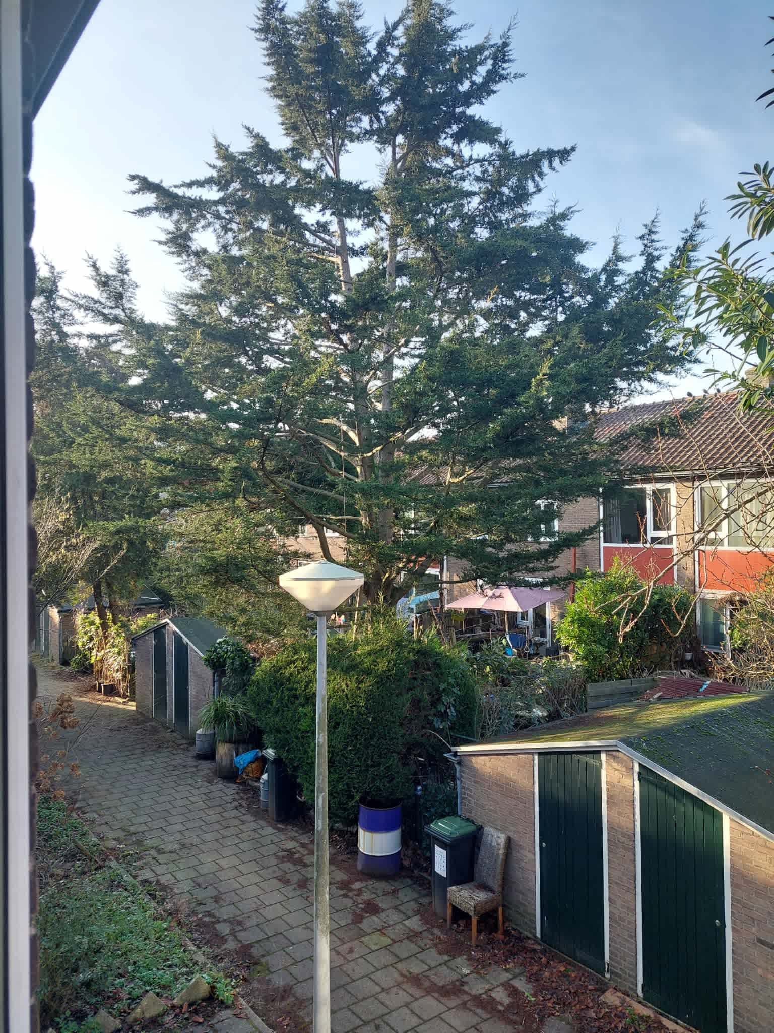 Archimedesplantsoen 135-1 - Amsterdam