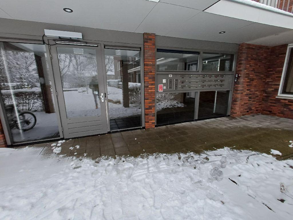 Jaargetijden 20 - Amsterdam