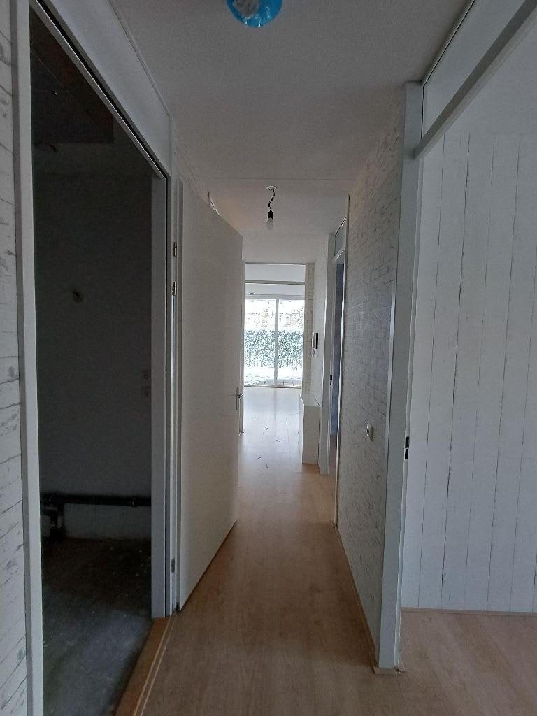 Jaargetijden 20 - Amsterdam