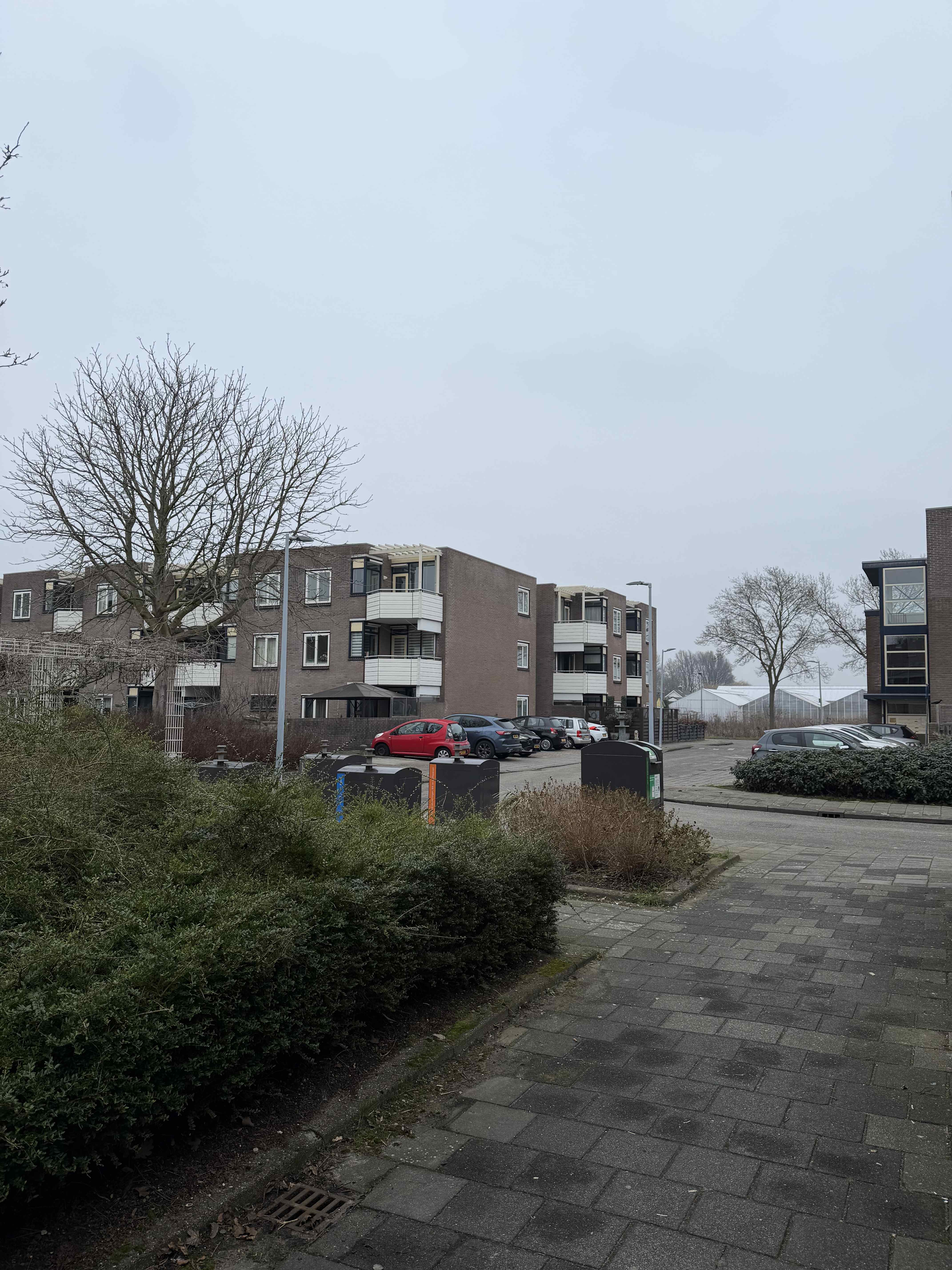 Loefzijde 81 - Rijsenhout