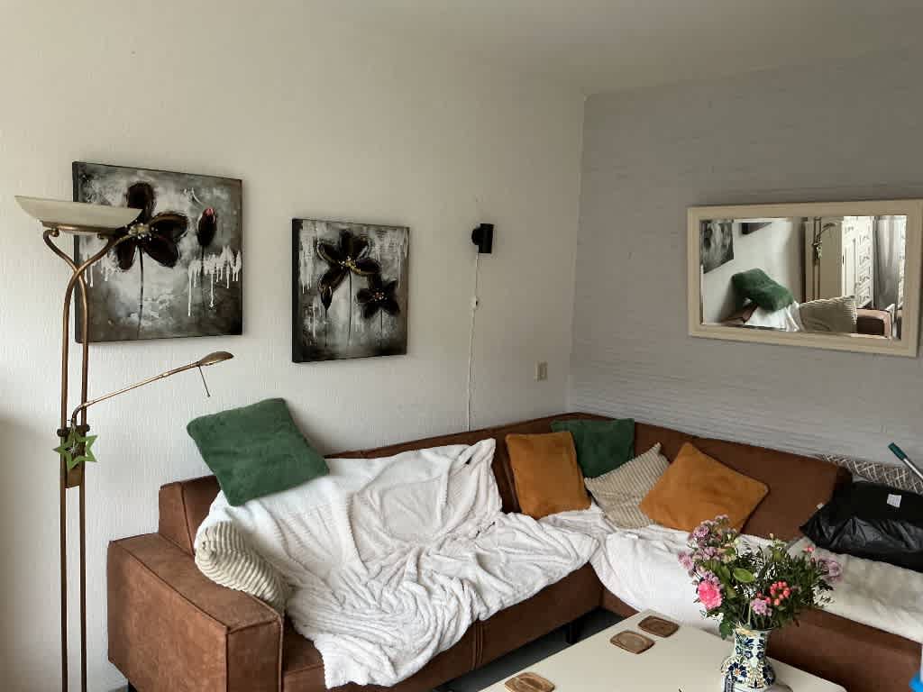 Rietkamp 35 - Vianen