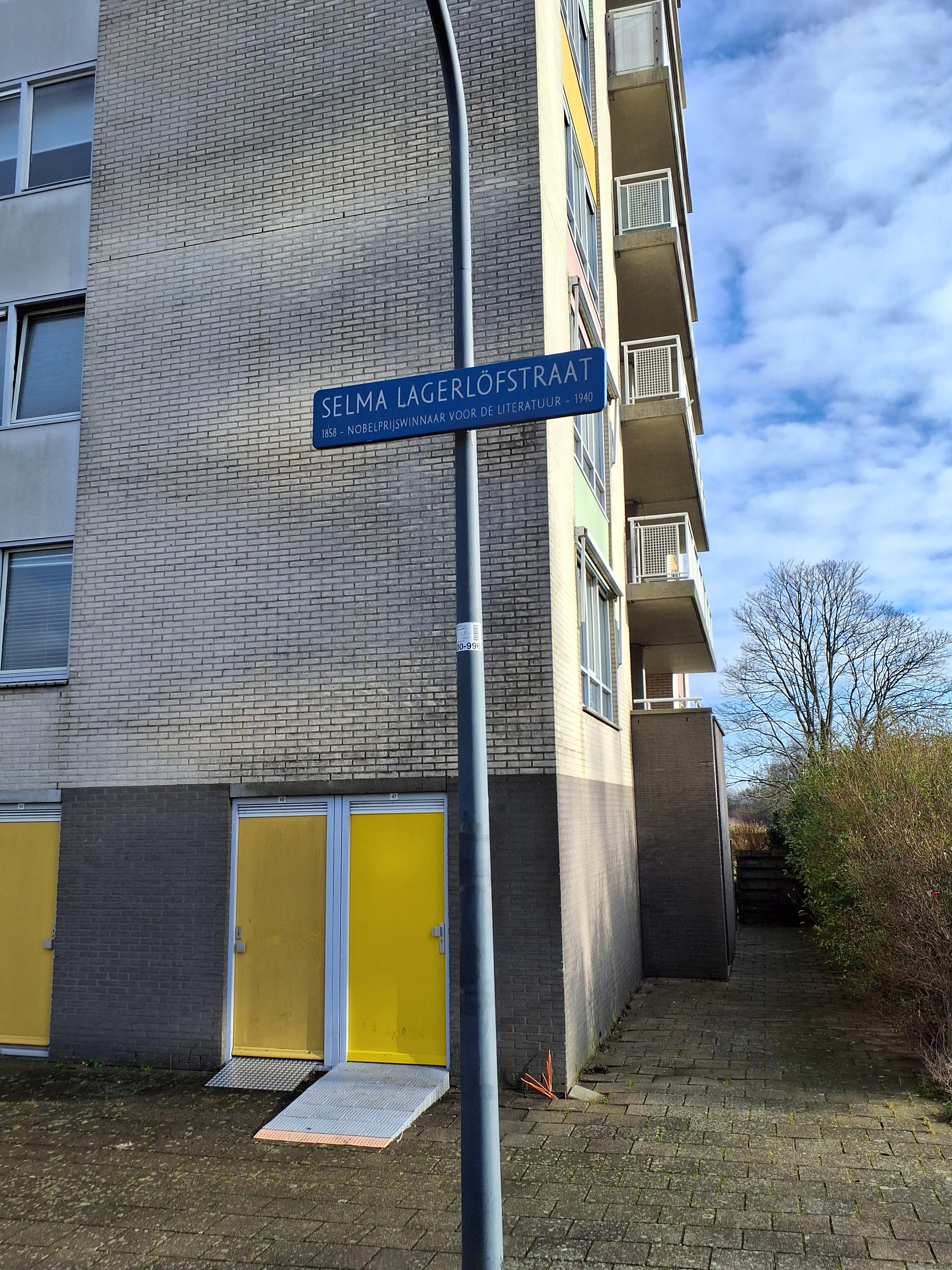 Selma Lagerlofstraat 61 - Haarlem