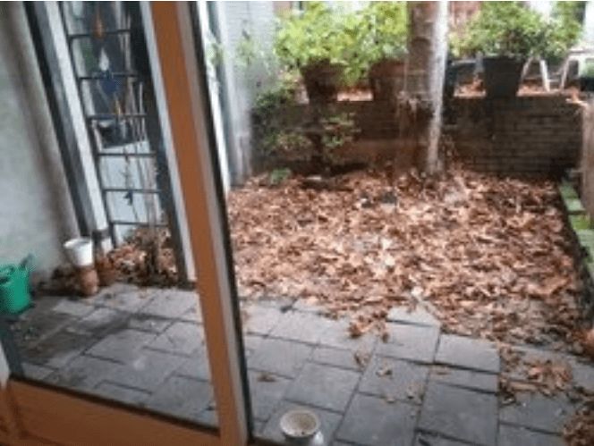 Spaarne 49-0003 - Haarlem