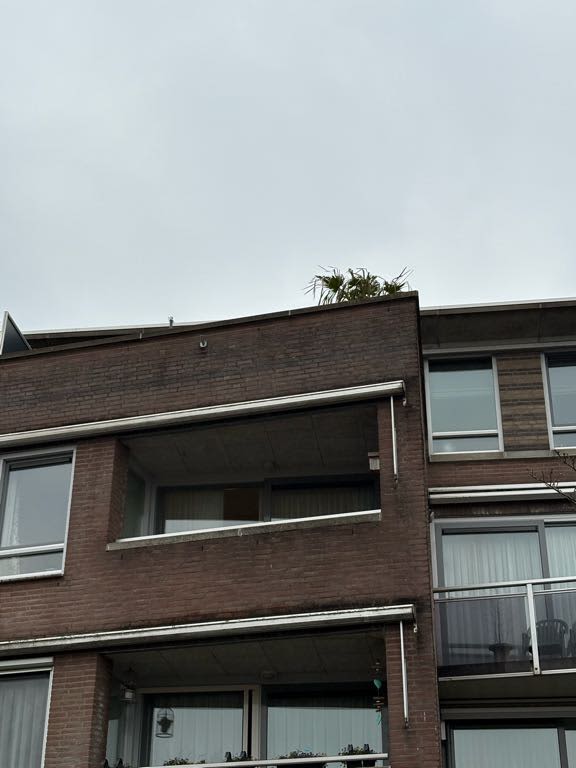 Kasteellaan 63 - Hedel