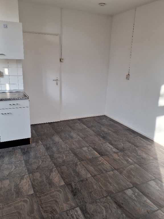 Linnaeuslaan 1-0012 - Haarlem