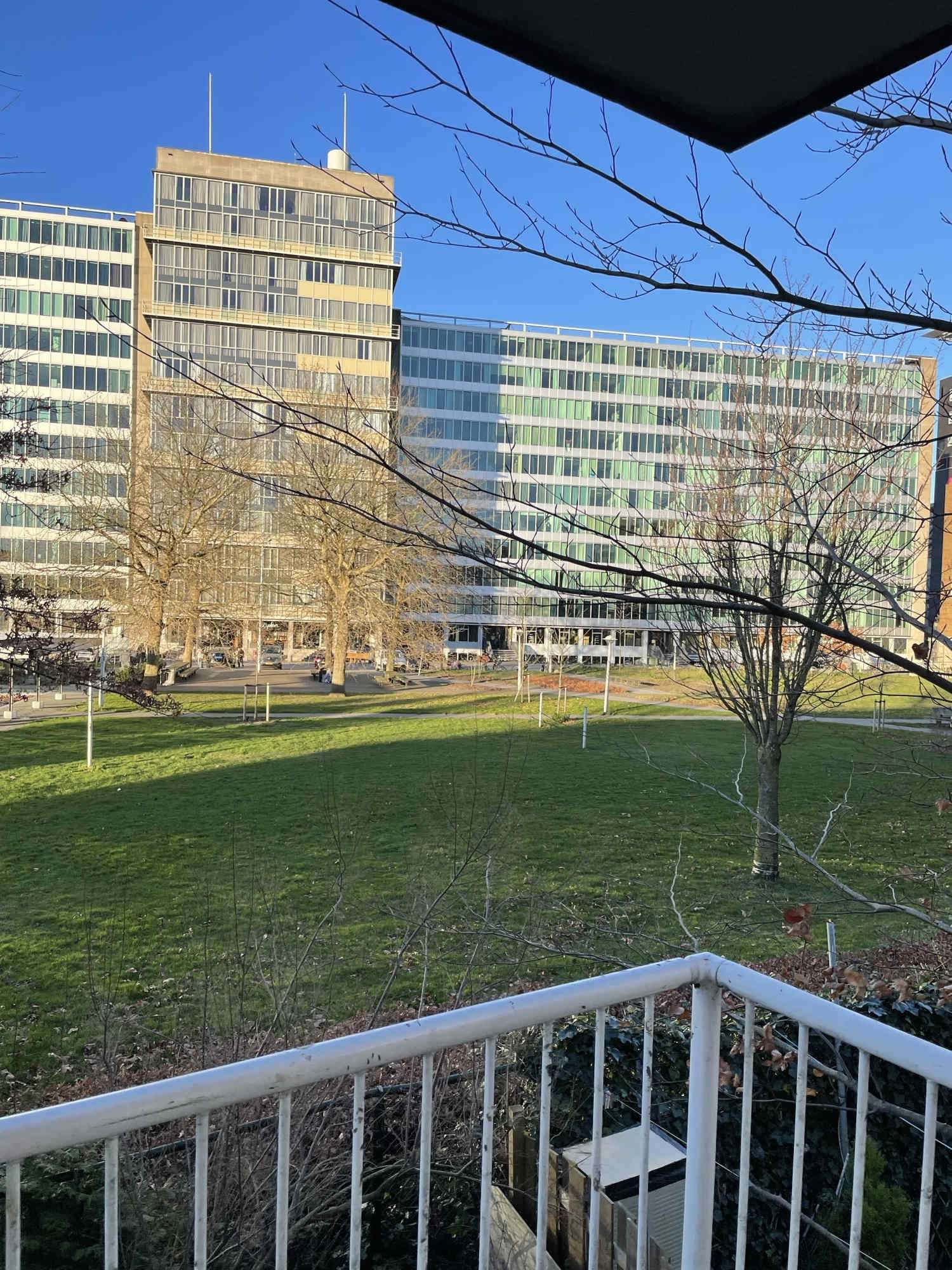 Bos en Lommerplantsoen 28 - Amsterdam