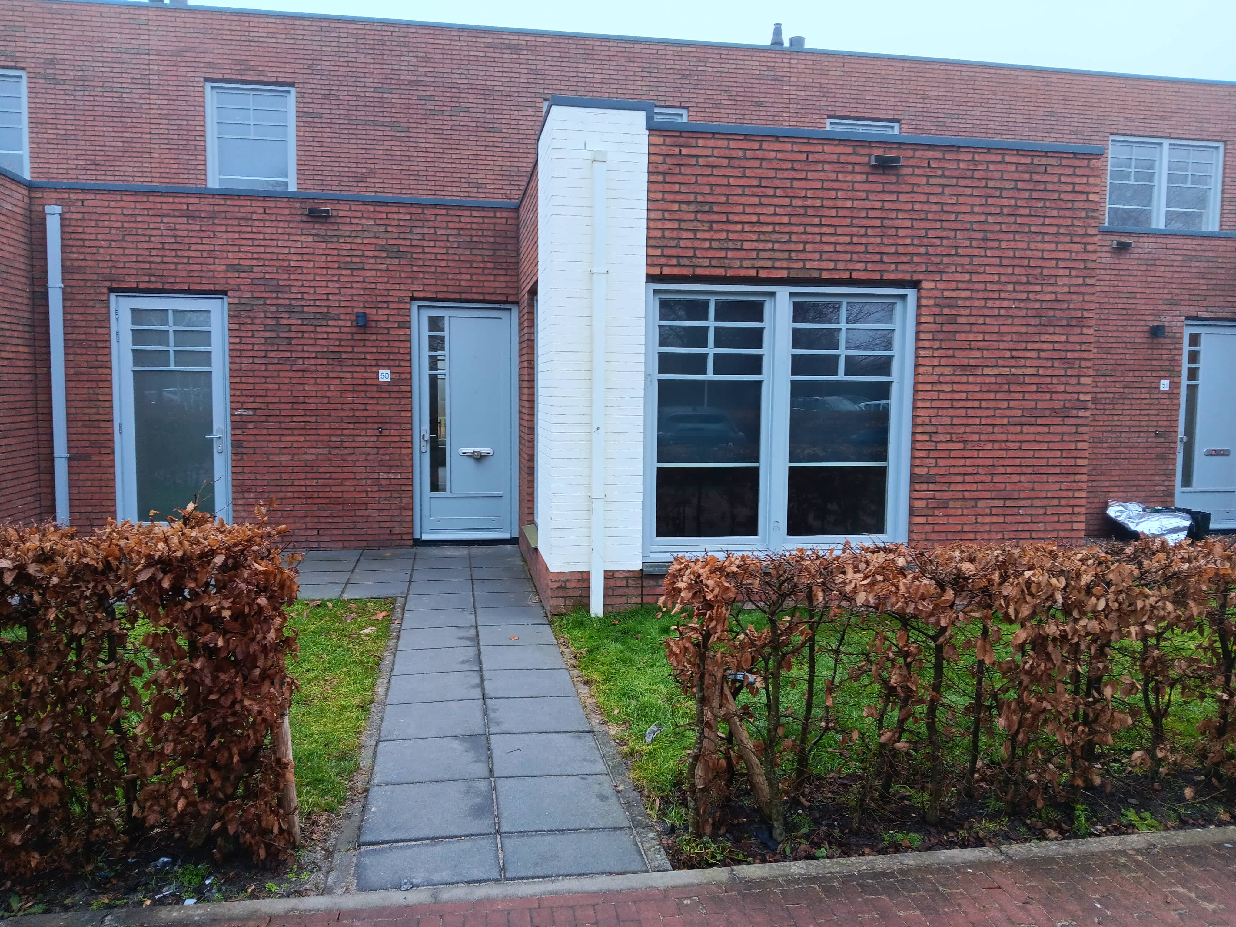 Bederawalda 50 - Bedum