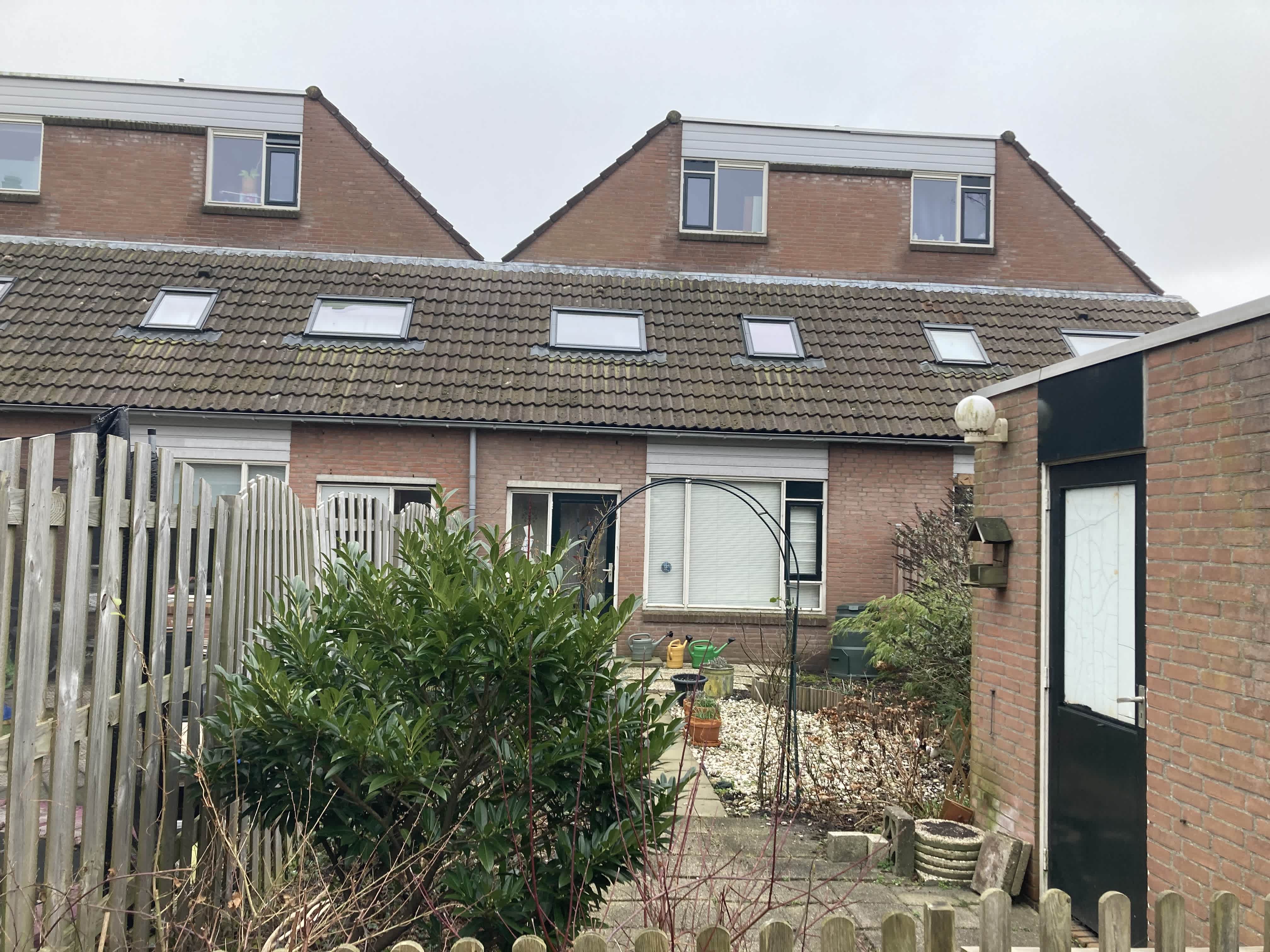 Boomland 3 - Koog aan de Zaan