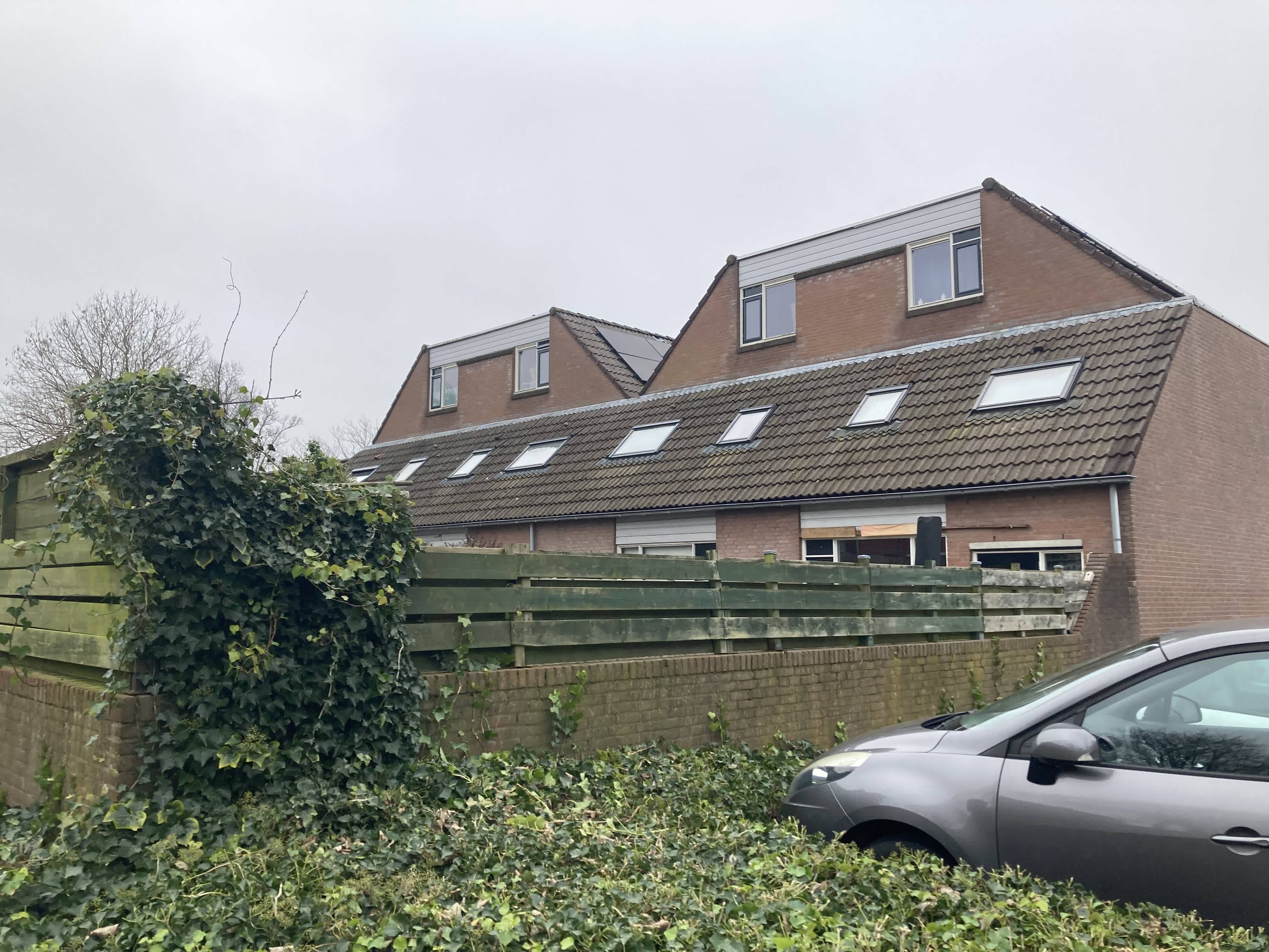 Boomland 3 - Koog aan de Zaan